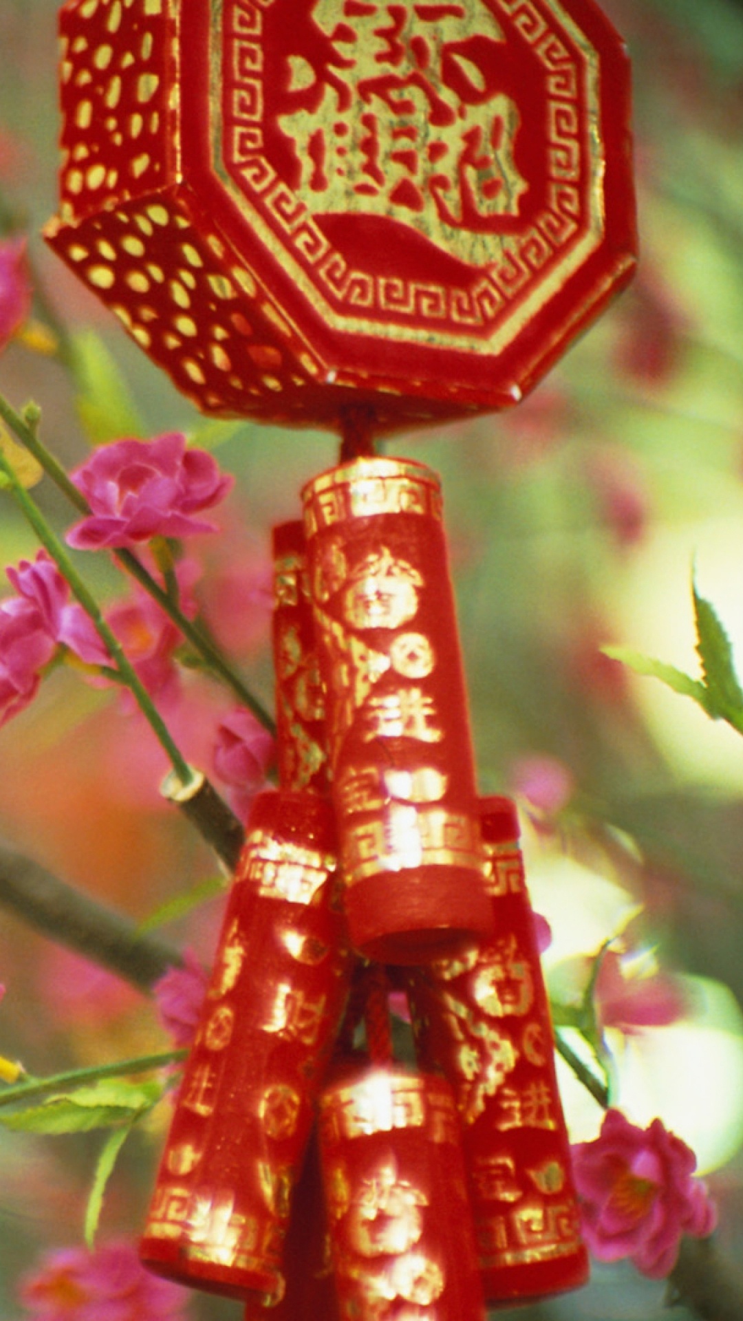 Обои Китай, розовый, цветок, весна, растение в разрешении 1080x1920