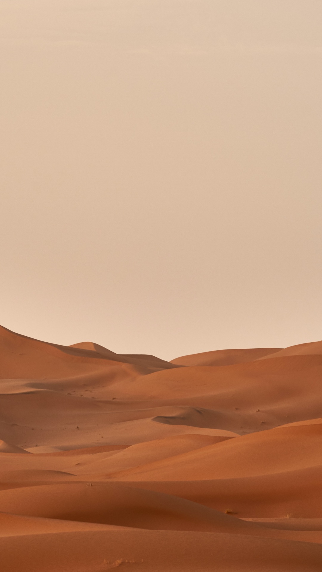 Обои Вольфганг Хассельманн, коричневый цвет, природный ландшафт, эрг, пейзаж в разрешении 1080x1920