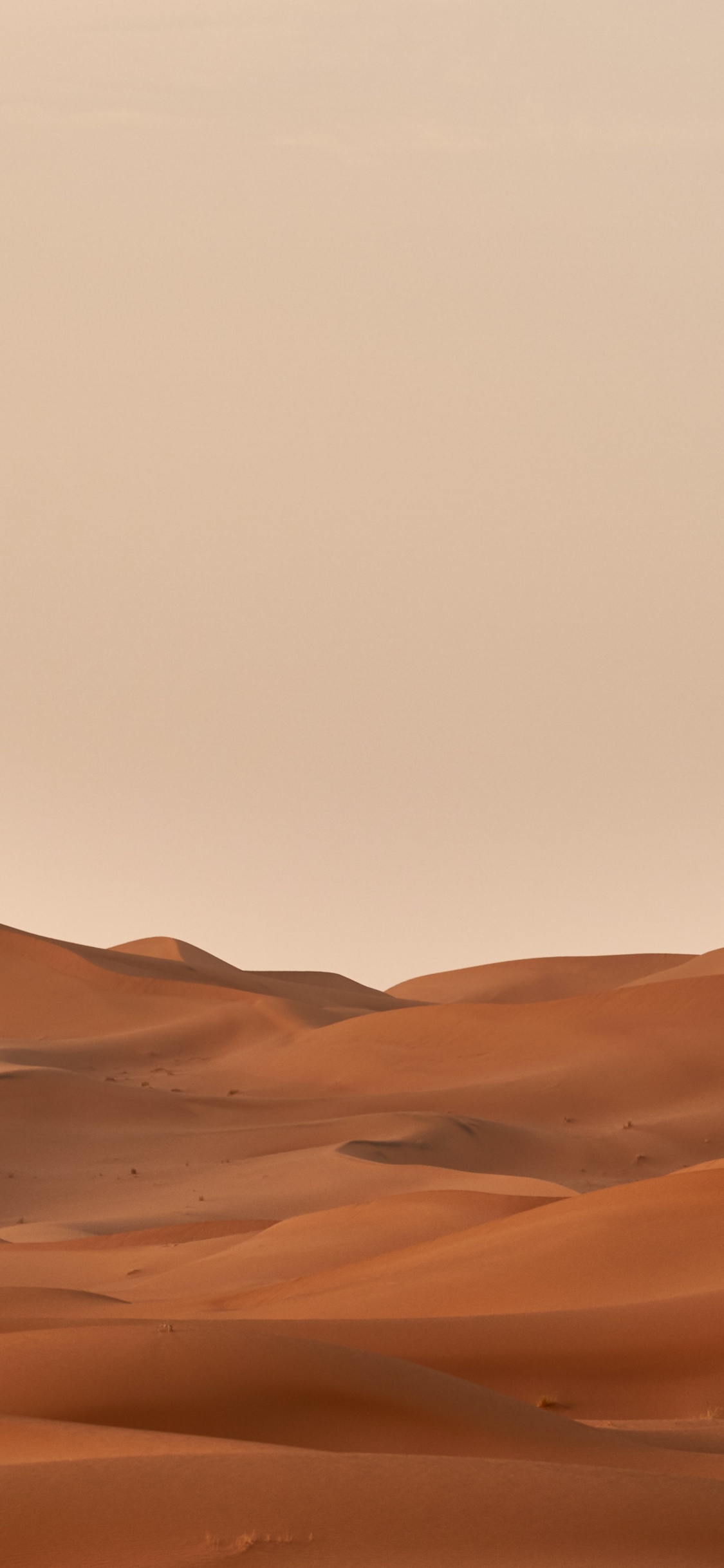 Обои Вольфганг Хассельманн, коричневый цвет, природный ландшафт, эрг, пейзаж в разрешении 1125x2436