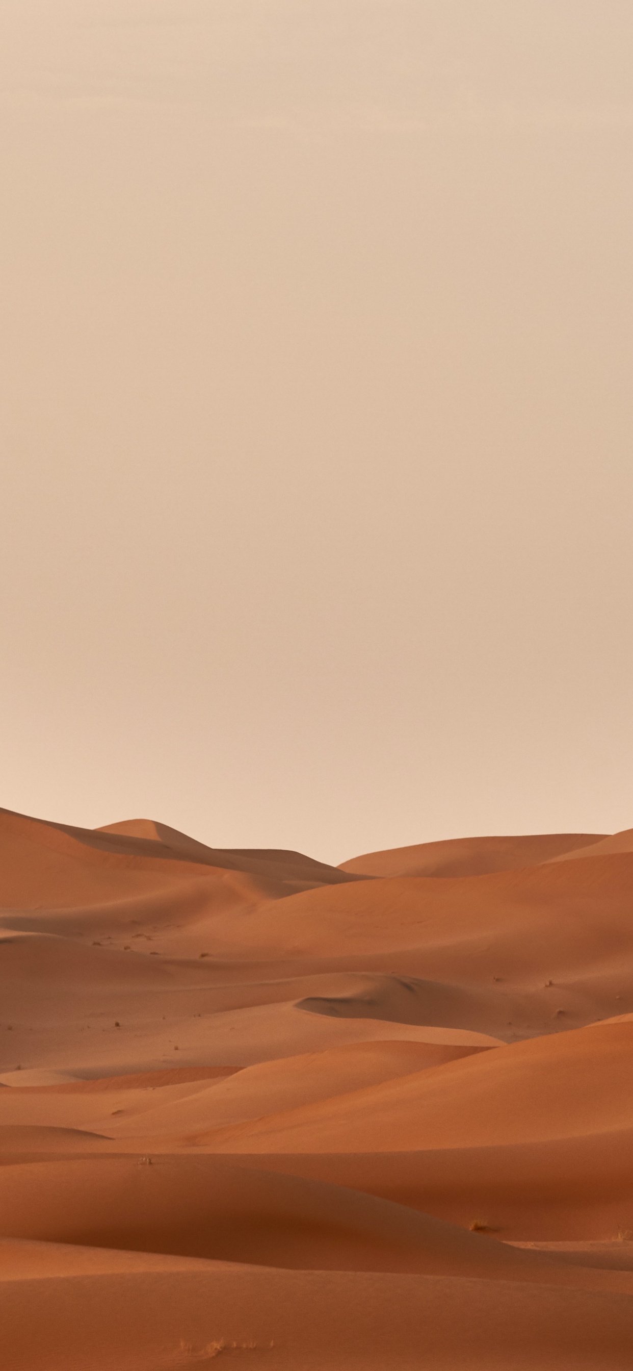 Обои Вольфганг Хассельманн, коричневый цвет, природный ландшафт, эрг, пейзаж в разрешении 1242x2688