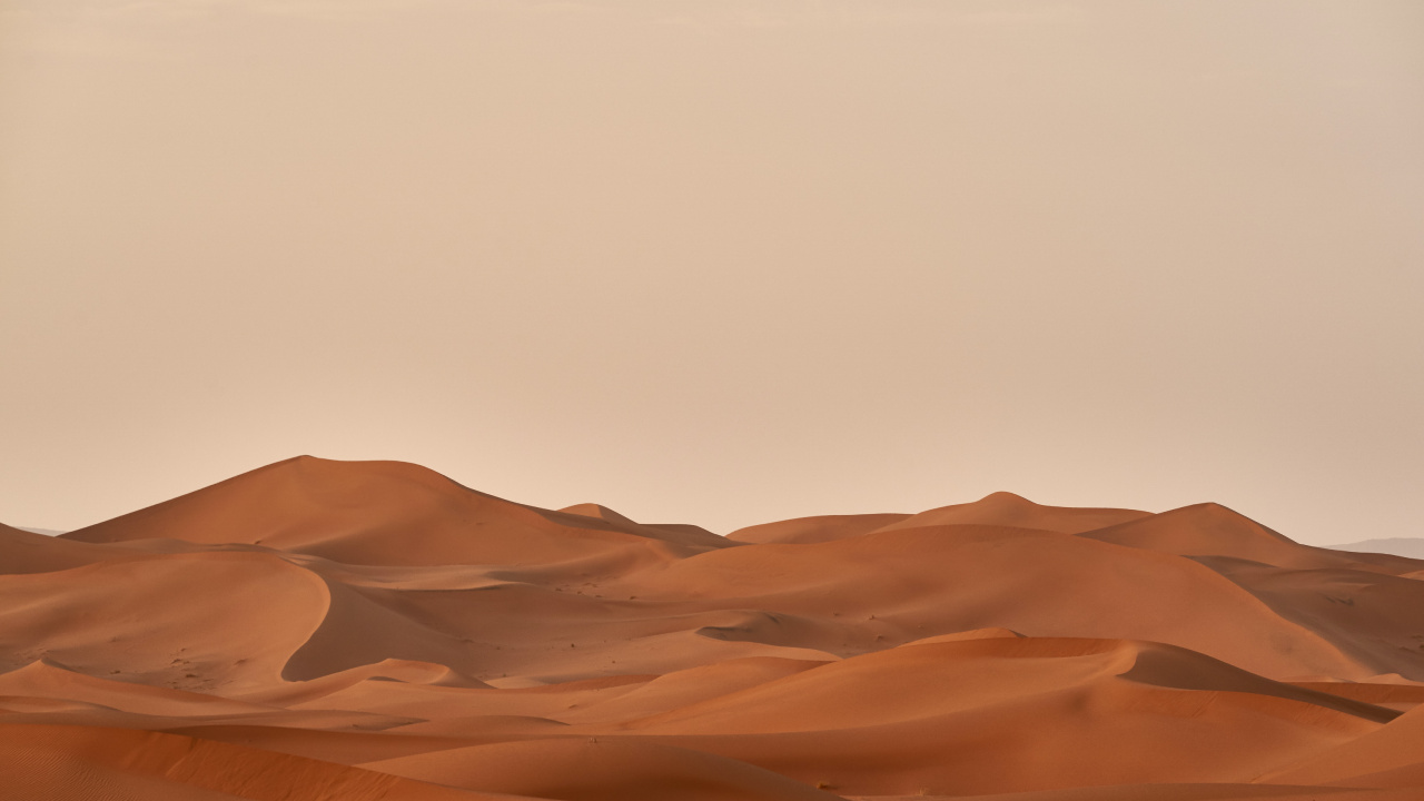 Обои Вольфганг Хассельманн, коричневый цвет, природный ландшафт, эрг, пейзаж в разрешении 1280x720