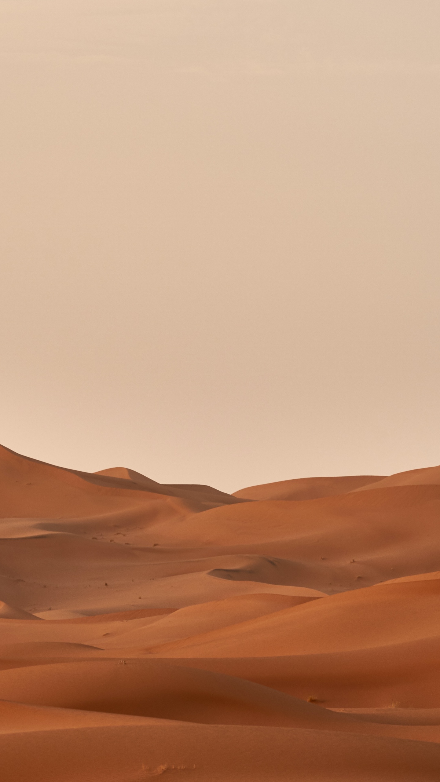 Обои Вольфганг Хассельманн, коричневый цвет, природный ландшафт, эрг, пейзаж в разрешении 1440x2560