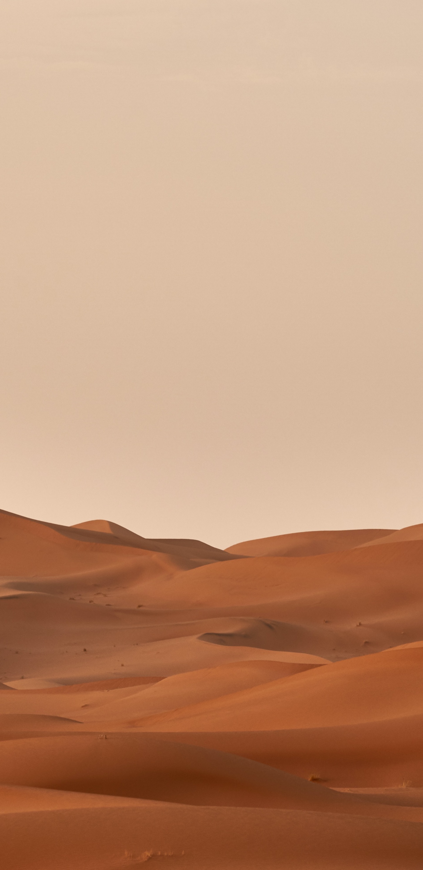 Обои Вольфганг Хассельманн, коричневый цвет, природный ландшафт, эрг, пейзаж в разрешении 1440x2960