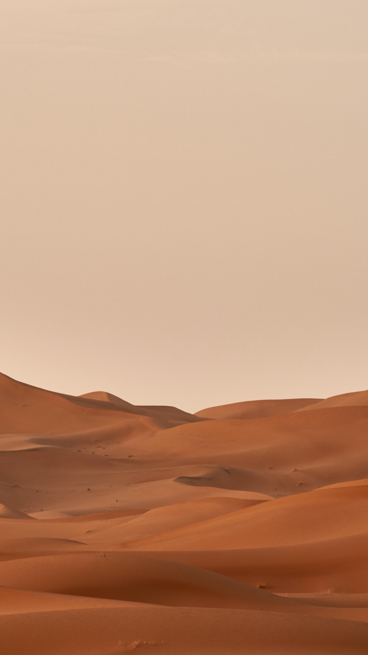 Обои Вольфганг Хассельманн, коричневый цвет, природный ландшафт, эрг, пейзаж в разрешении 720x1280