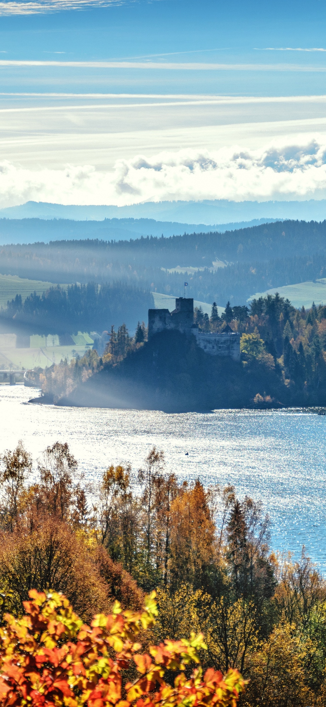 Обои природный ландшафт, дерево, природа, Линукс Минт 19 2, дикая местность в разрешении 1125x2436