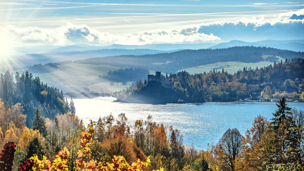 Обои природный ландшафт, дерево, природа, Линукс Минт 19 2, дикая местность в разрешении 1280x720