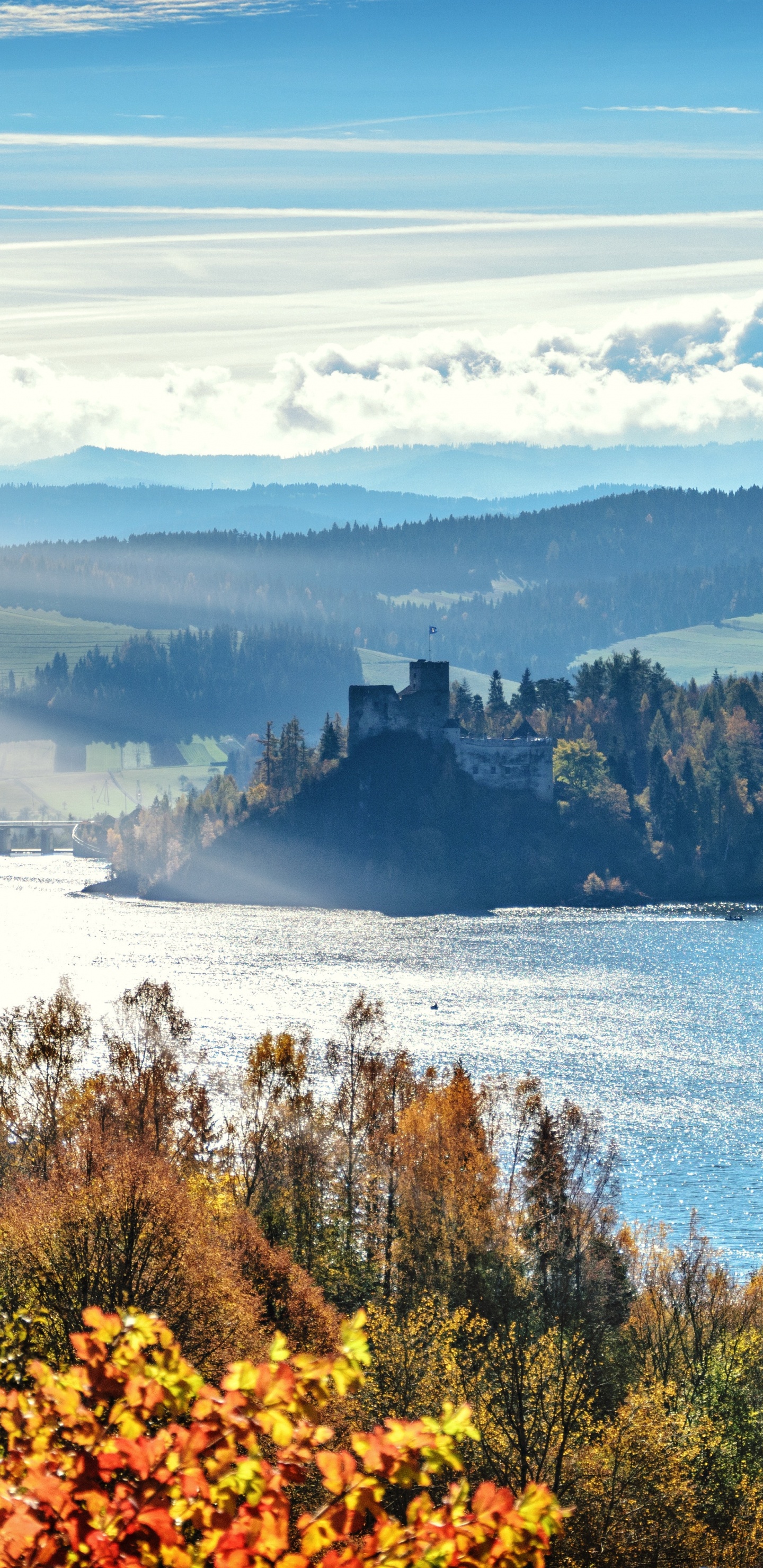 Обои природный ландшафт, дерево, природа, Линукс Минт 19 2, дикая местность в разрешении 1440x2960