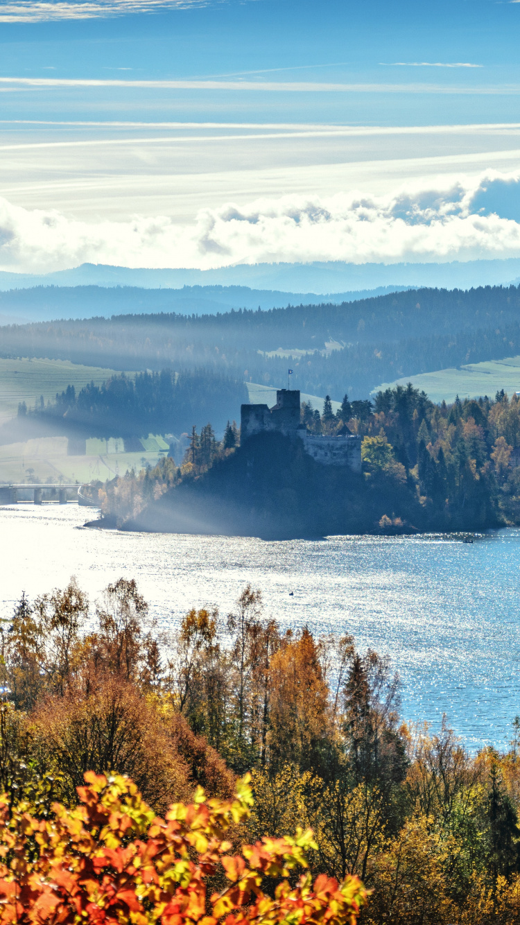 Обои природный ландшафт, дерево, природа, Линукс Минт 19 2, дикая местность в разрешении 750x1334