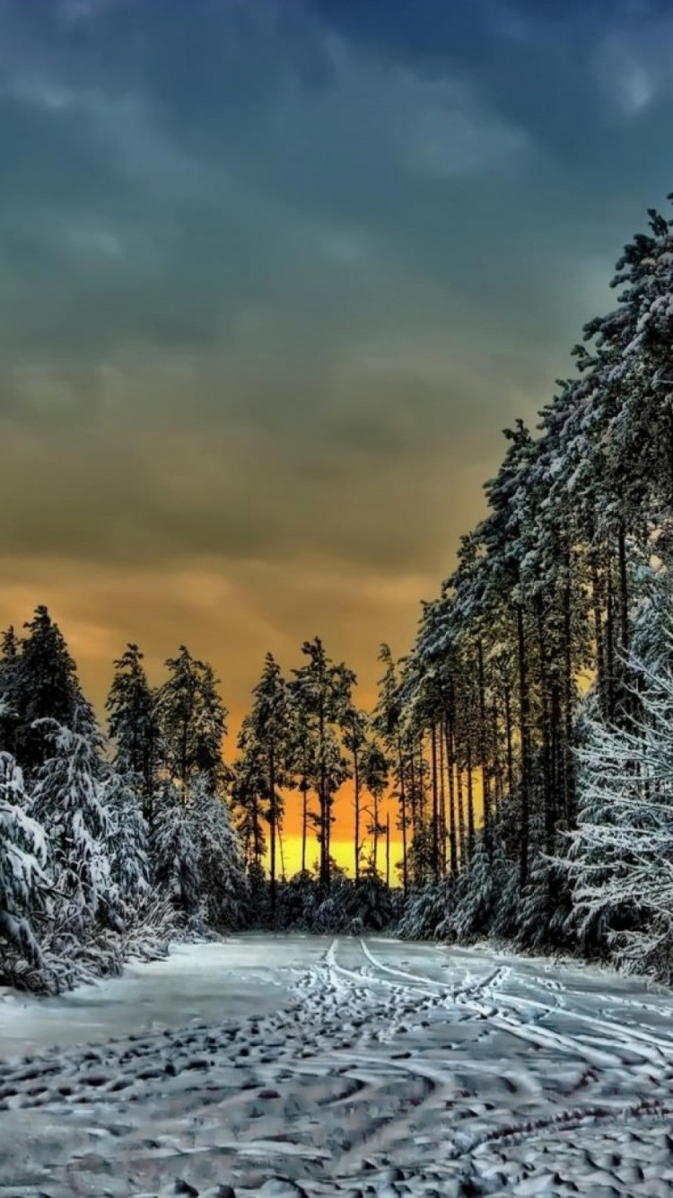 Обои Синий Горный Курорт, зима, снег, природа, дерево в разрешении 750x1334