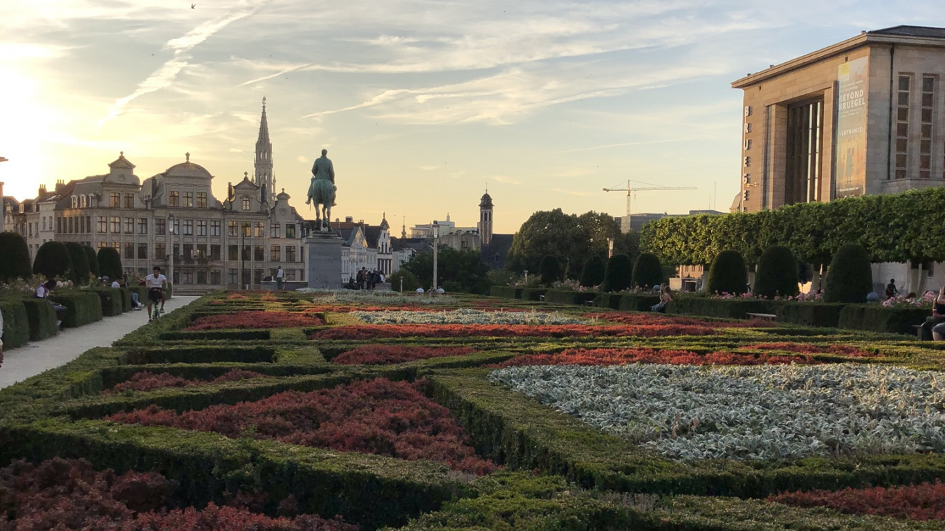 Обои растение, облако, сад, пейзаж, цветок в разрешении 1366x768