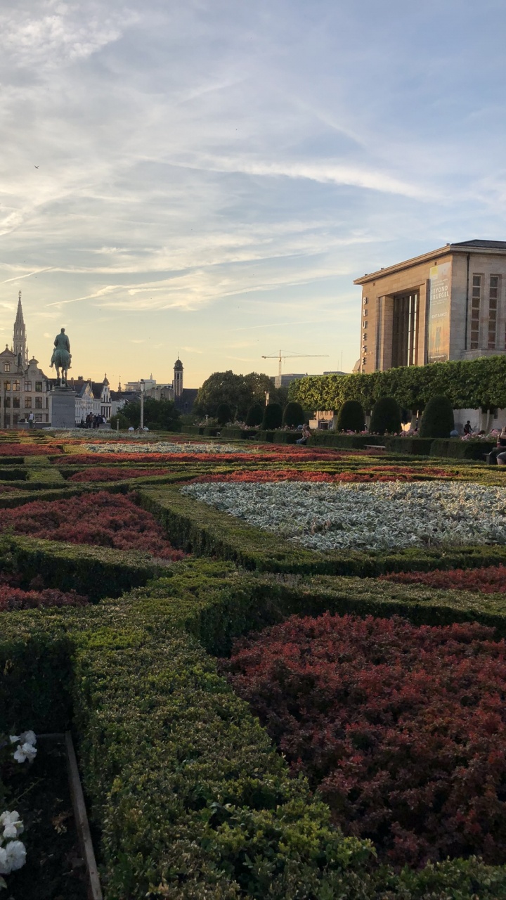 Обои растение, облако, сад, пейзаж, цветок в разрешении 720x1280