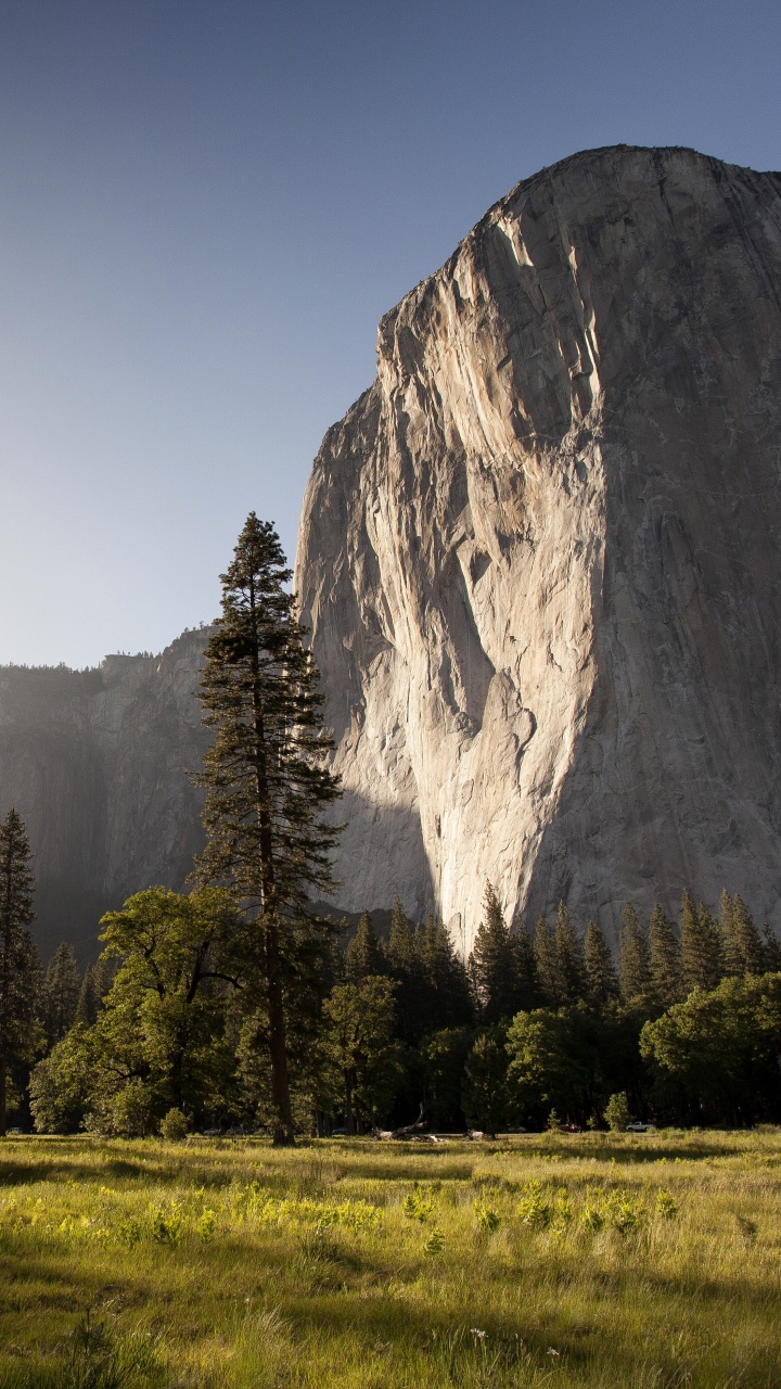 Обои Эль-капитан, OS X El Capitan, природа, горный рельеф, дерево в разрешении 720x1280