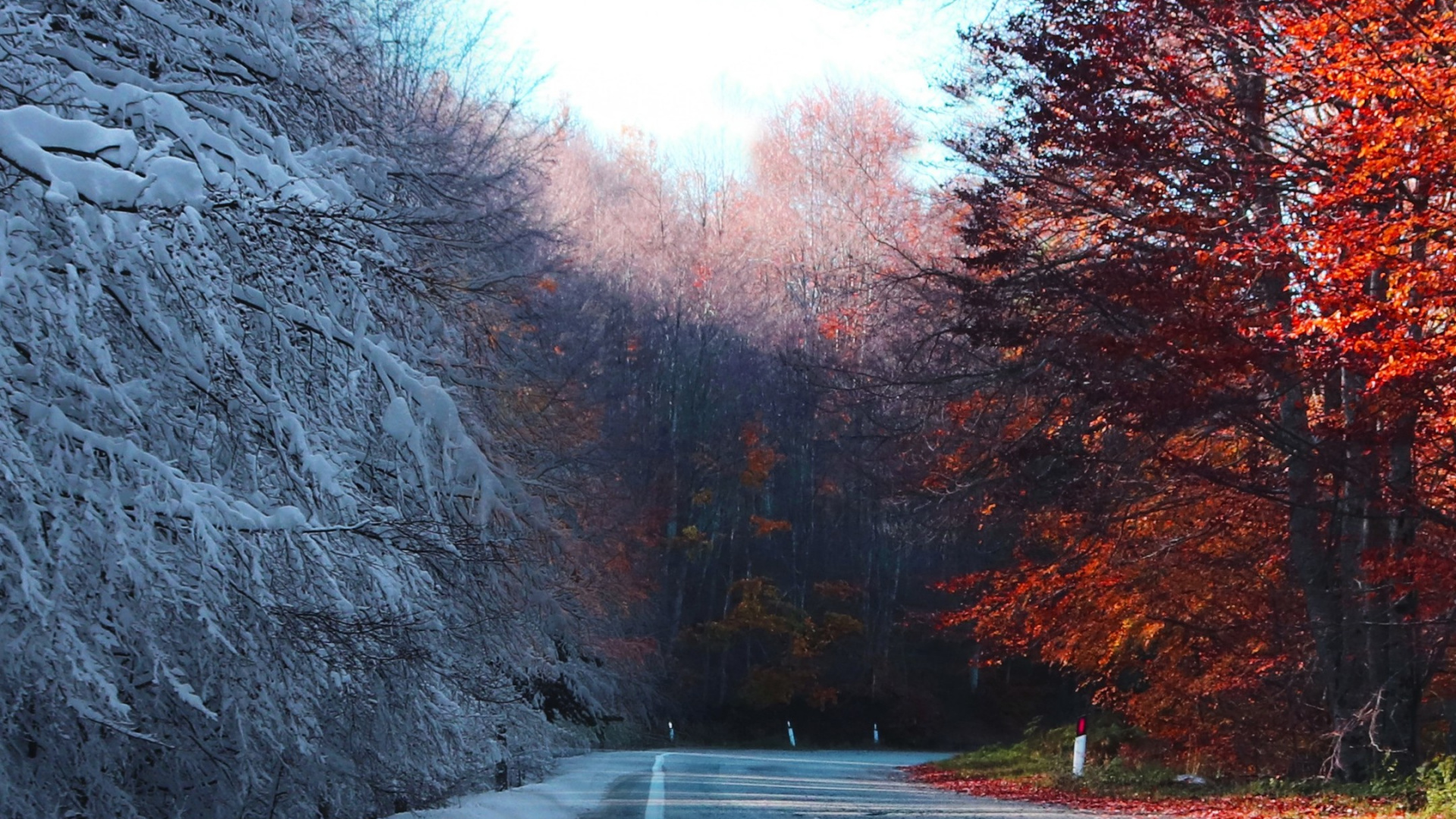 Обои осень, природа, зима, снег, дорожное покрытие в разрешении 1920x1080