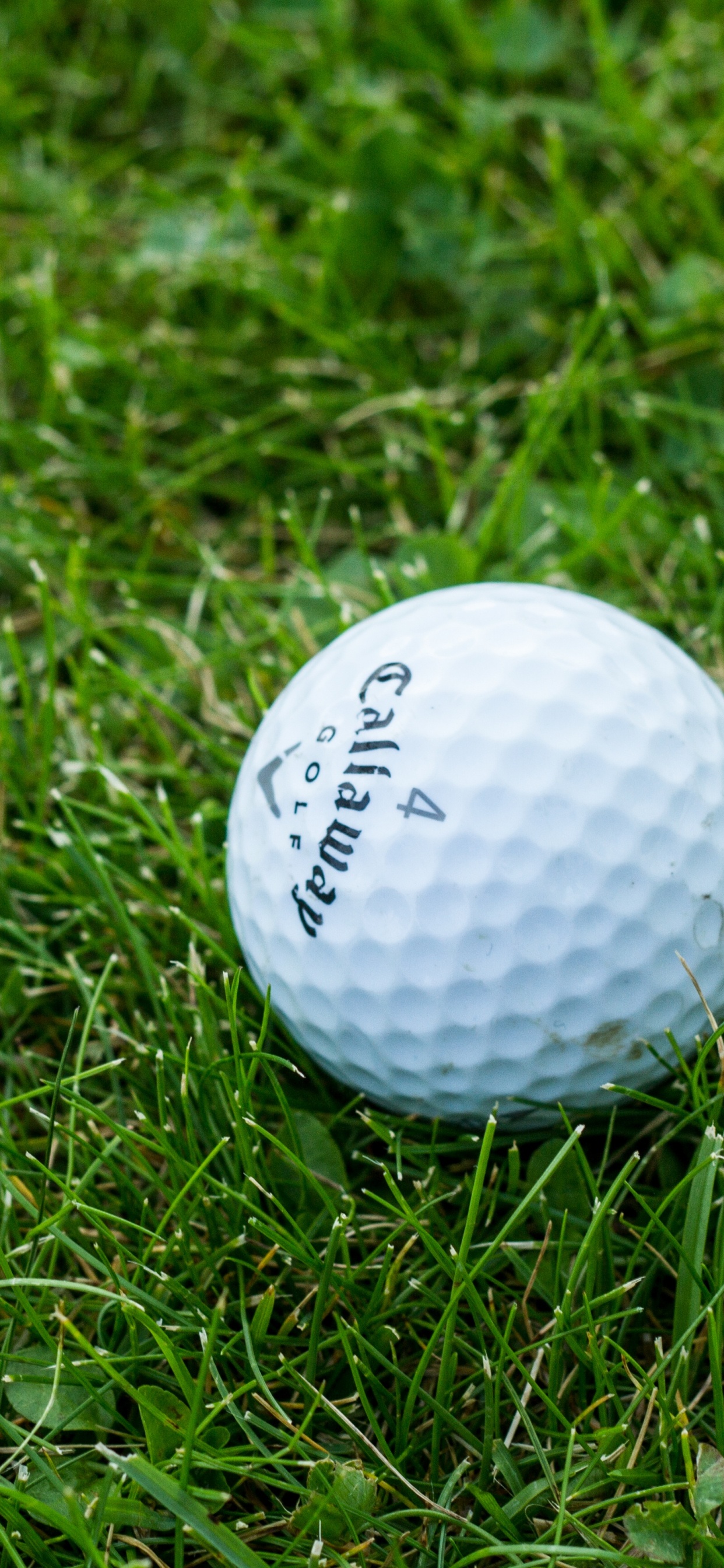 Обои гольф, мячик для гольфа, мяч, снаряжение для гольфа, площадка для гольфа в разрешении 1242x2688