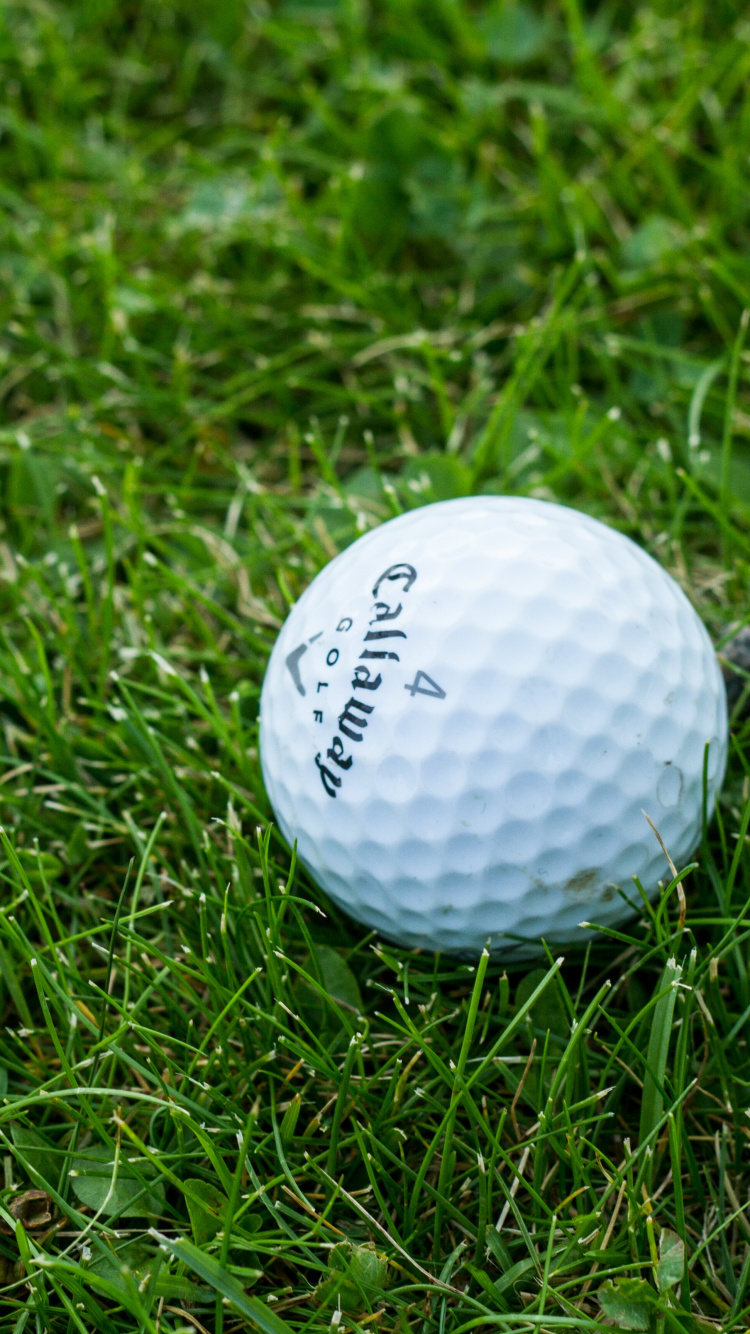 Обои гольф, мячик для гольфа, мяч, снаряжение для гольфа, площадка для гольфа в разрешении 750x1334