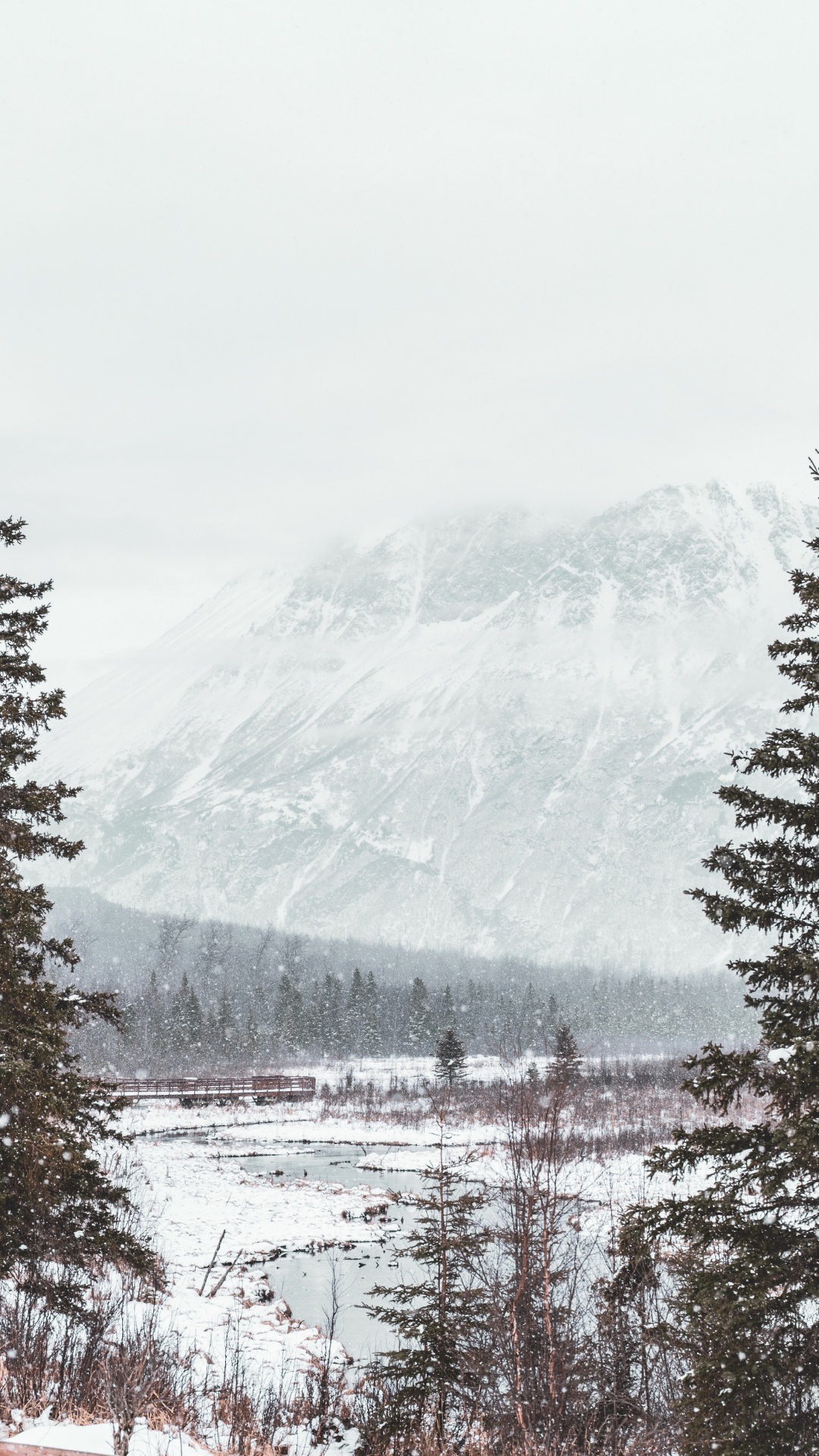 Обои снег, зима, дерево, замораживание, гора в разрешении 1080x1920