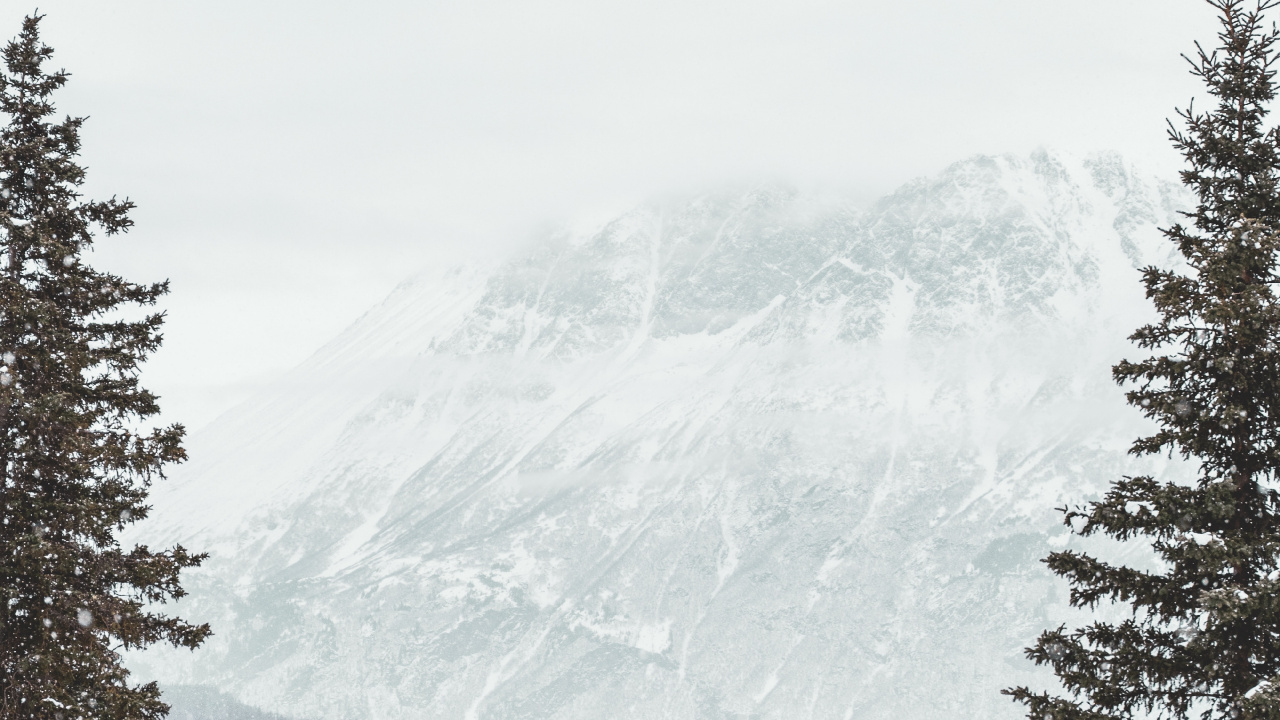 Обои снег, зима, дерево, замораживание, гора в разрешении 1280x720