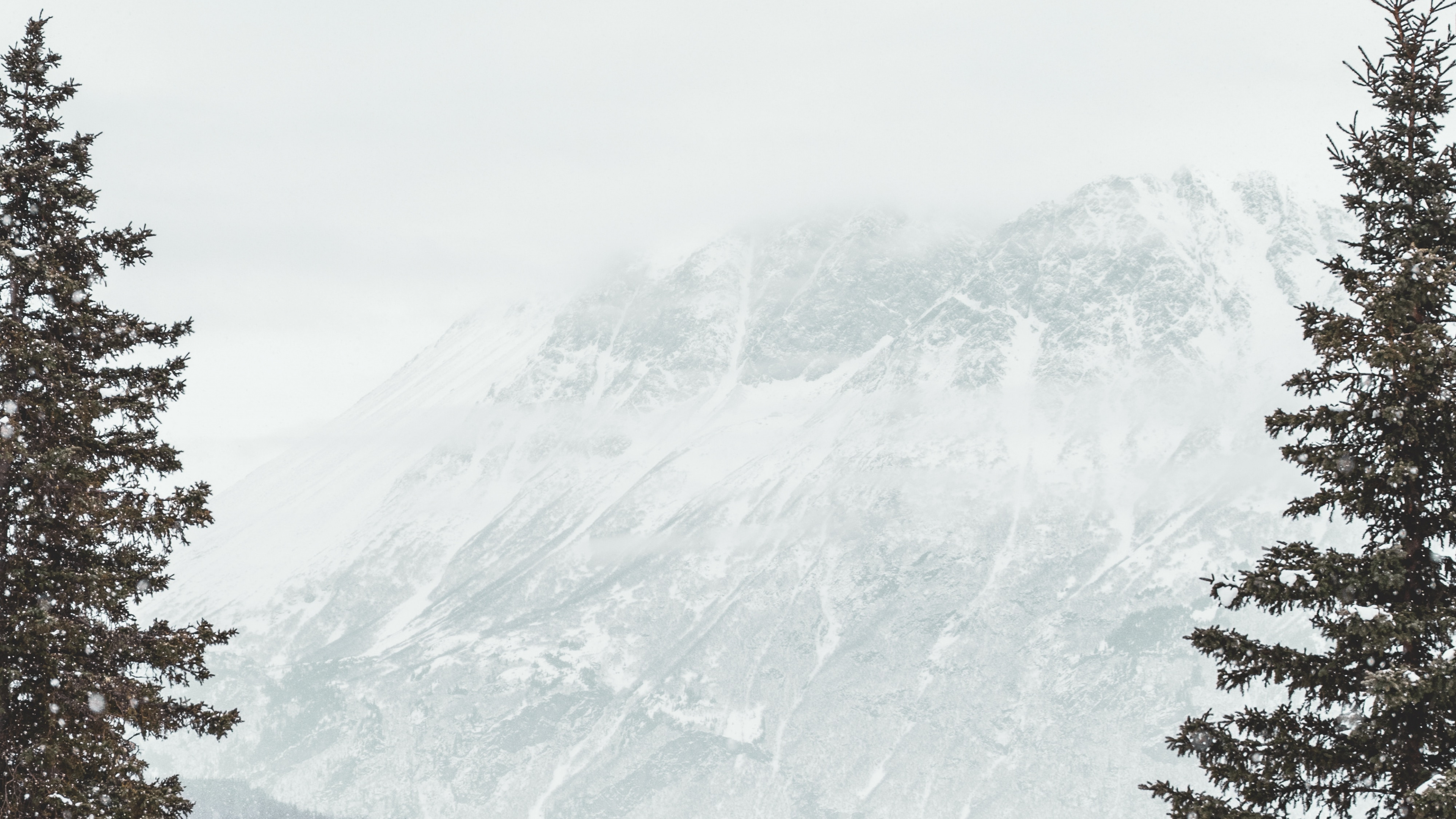 Обои снег, зима, дерево, замораживание, гора в разрешении 3840x2160