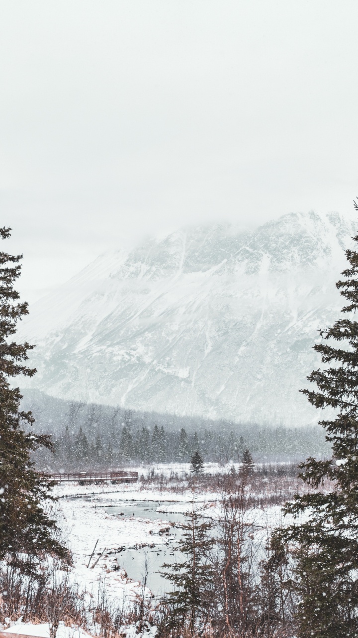 Обои снег, зима, дерево, замораживание, гора в разрешении 720x1280