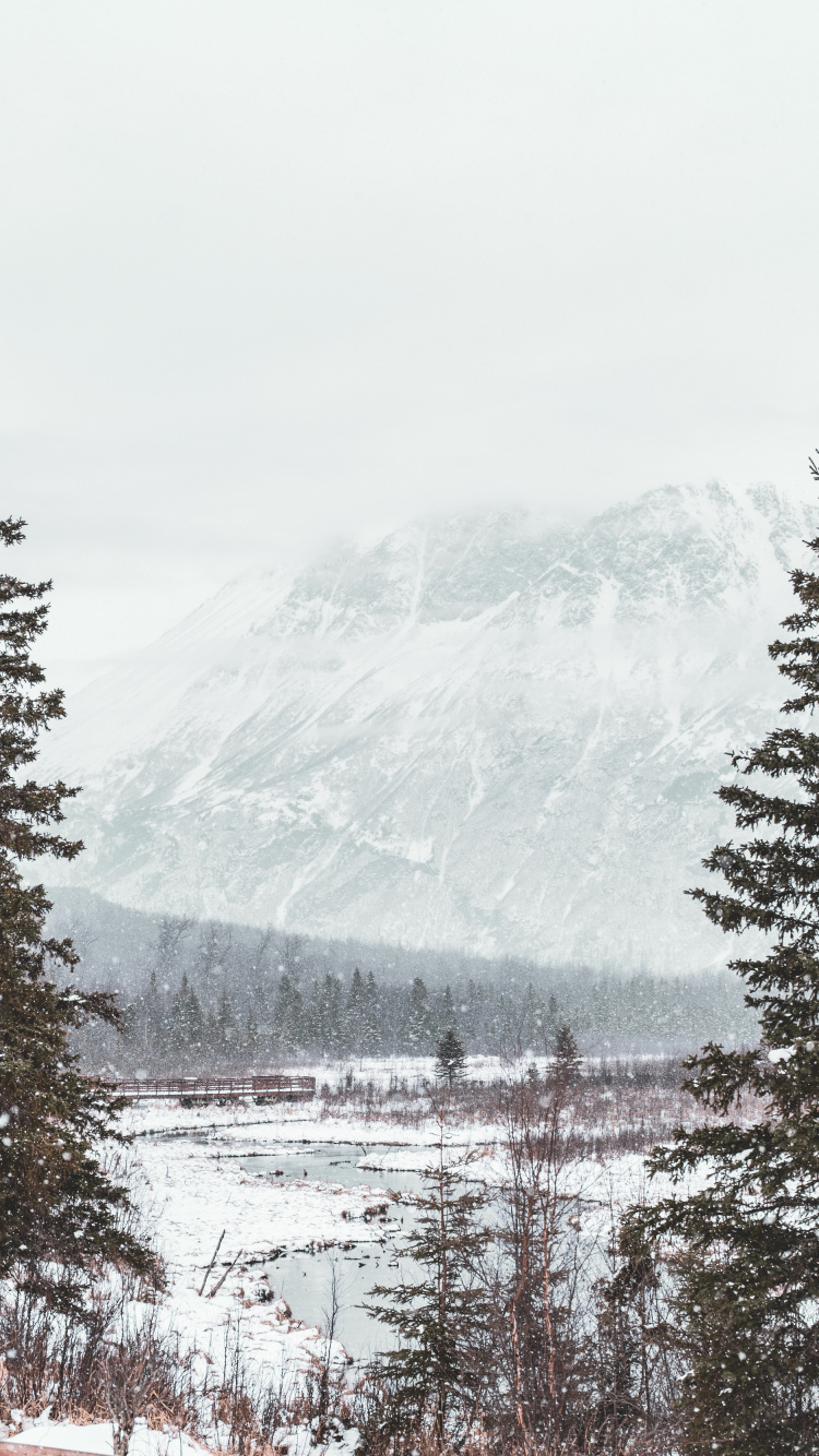 Обои снег, зима, дерево, замораживание, гора в разрешении 750x1334