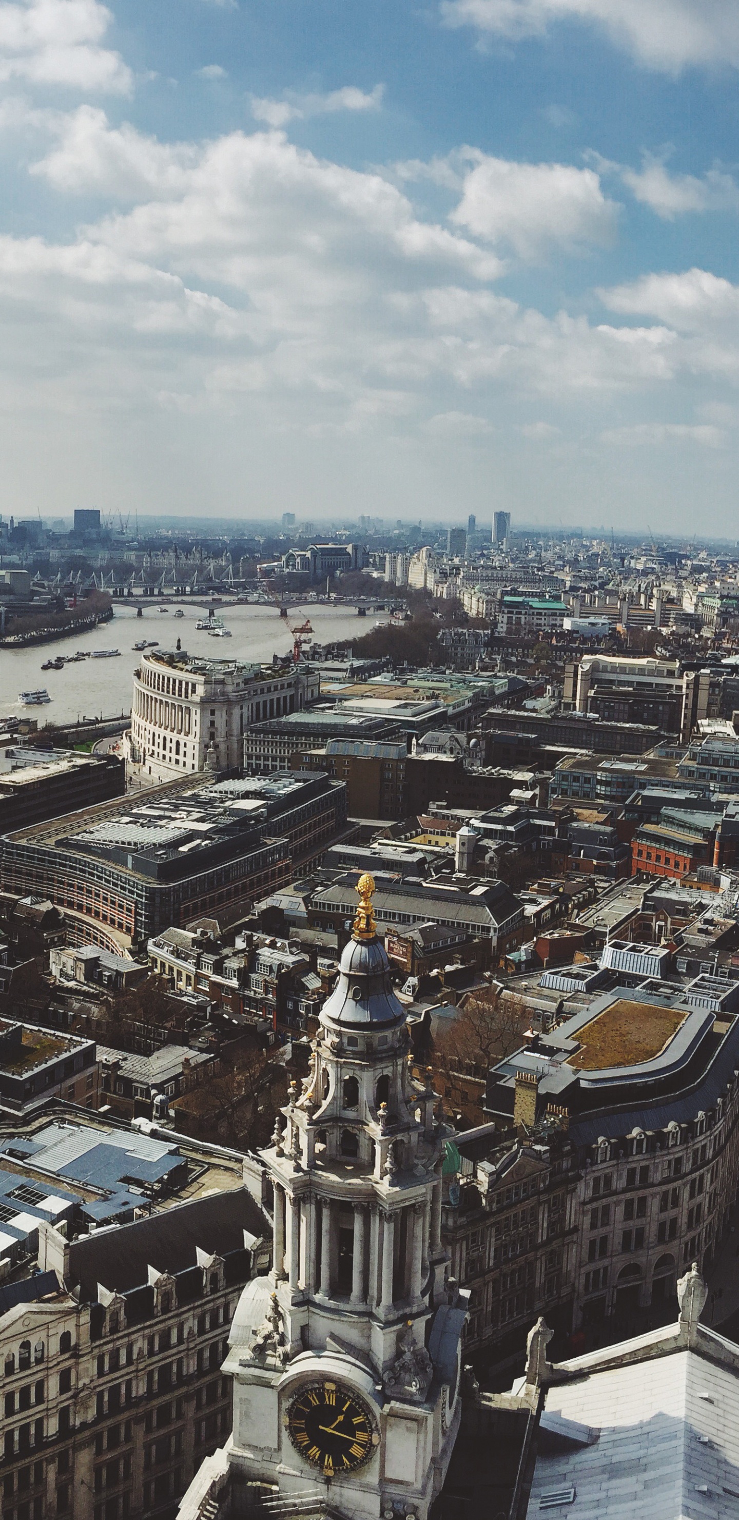 Обои городской район, город, городской пейзаж, метрополия, линия горизонта в разрешении 1440x2960