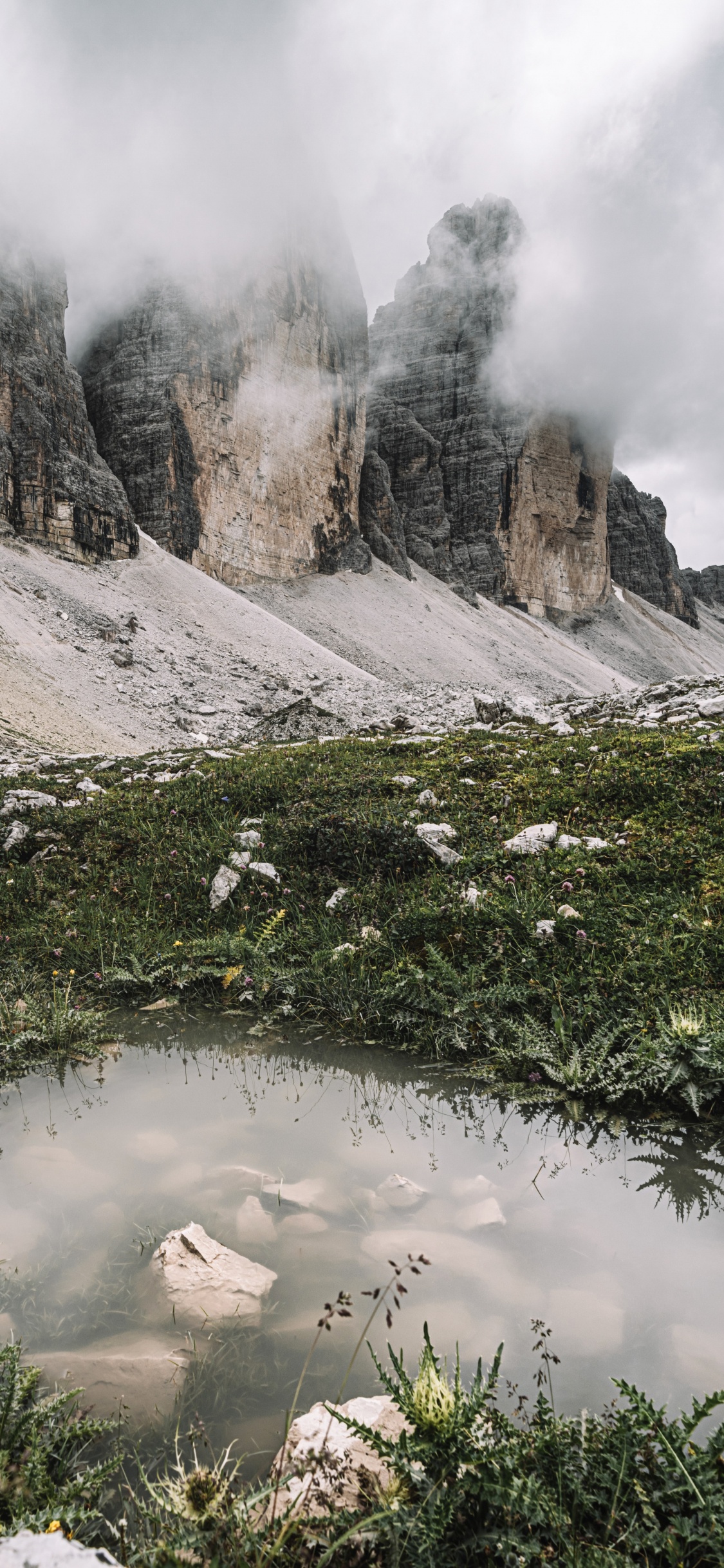 Обои дикая местность, облако, растение, гора, природный ландшафт в разрешении 1125x2436