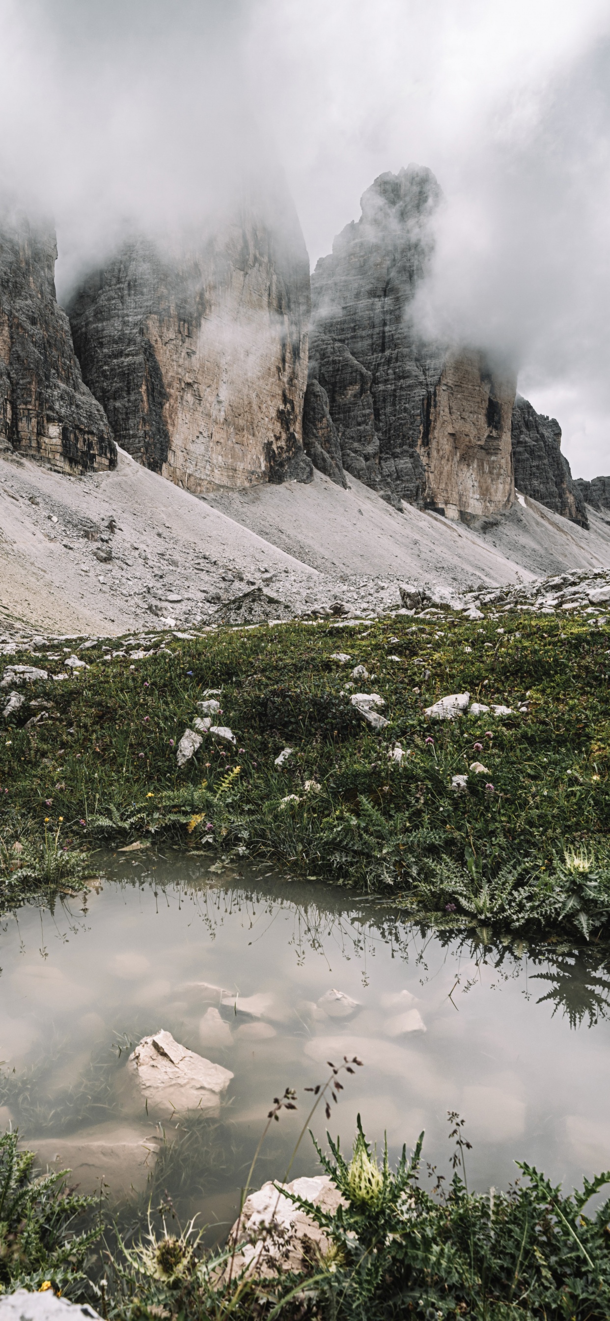 Обои дикая местность, облако, растение, гора, природный ландшафт в разрешении 1242x2688