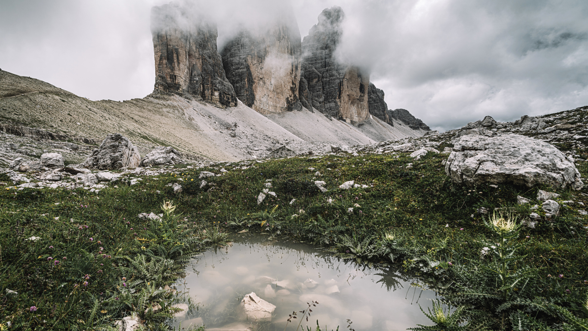 Обои дикая местность, облако, растение, гора, природный ландшафт в разрешении 1920x1080