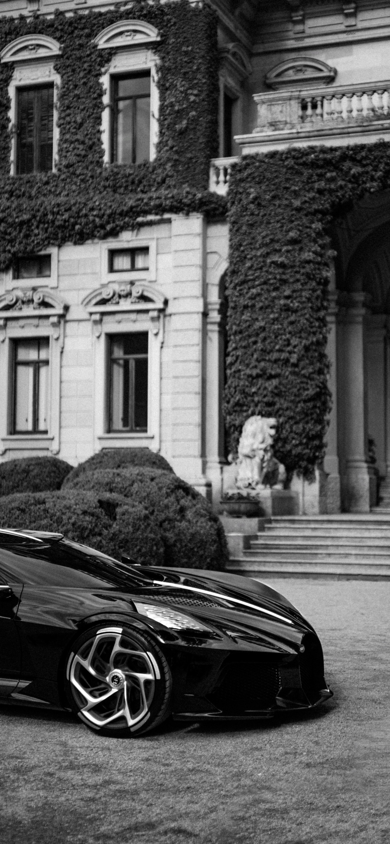 Обои спорткар, легковые автомобили, Бугатти вейрон, суперкар, колесо в разрешении 1242x2688