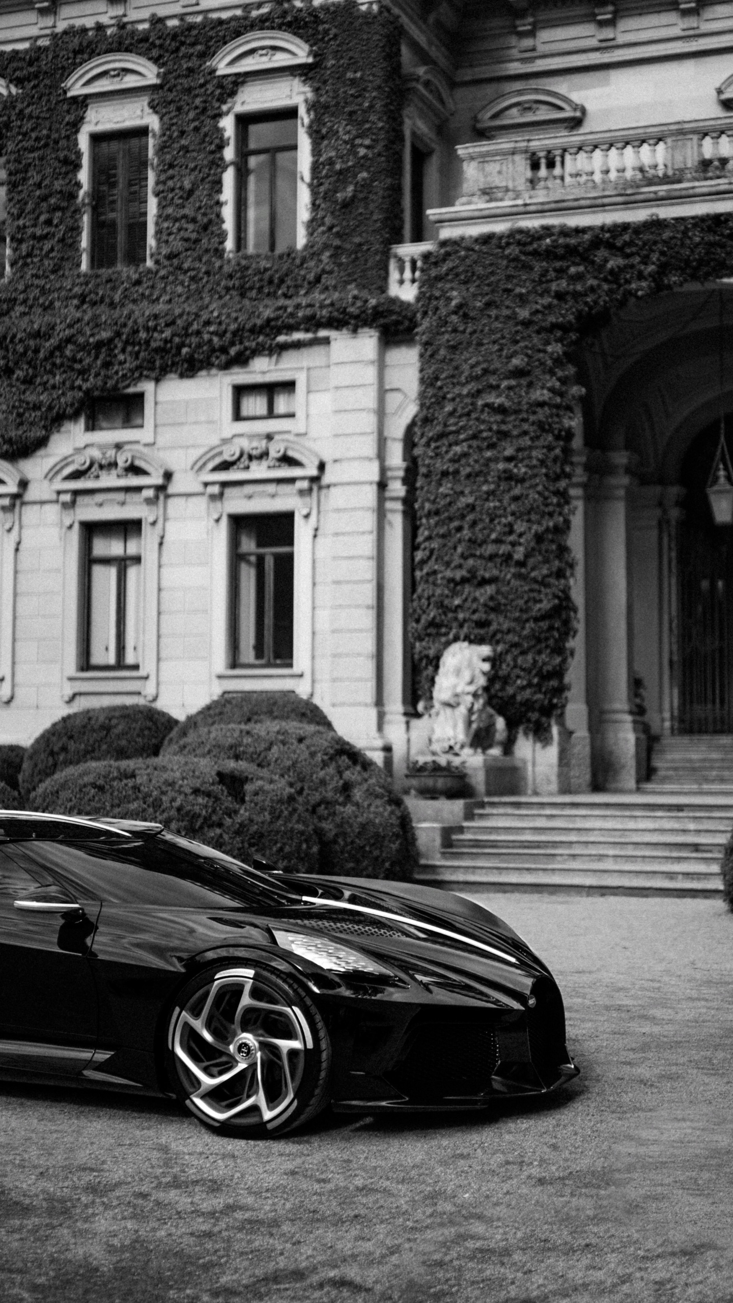 Обои спорткар, легковые автомобили, Бугатти вейрон, суперкар, колесо в разрешении 1440x2560