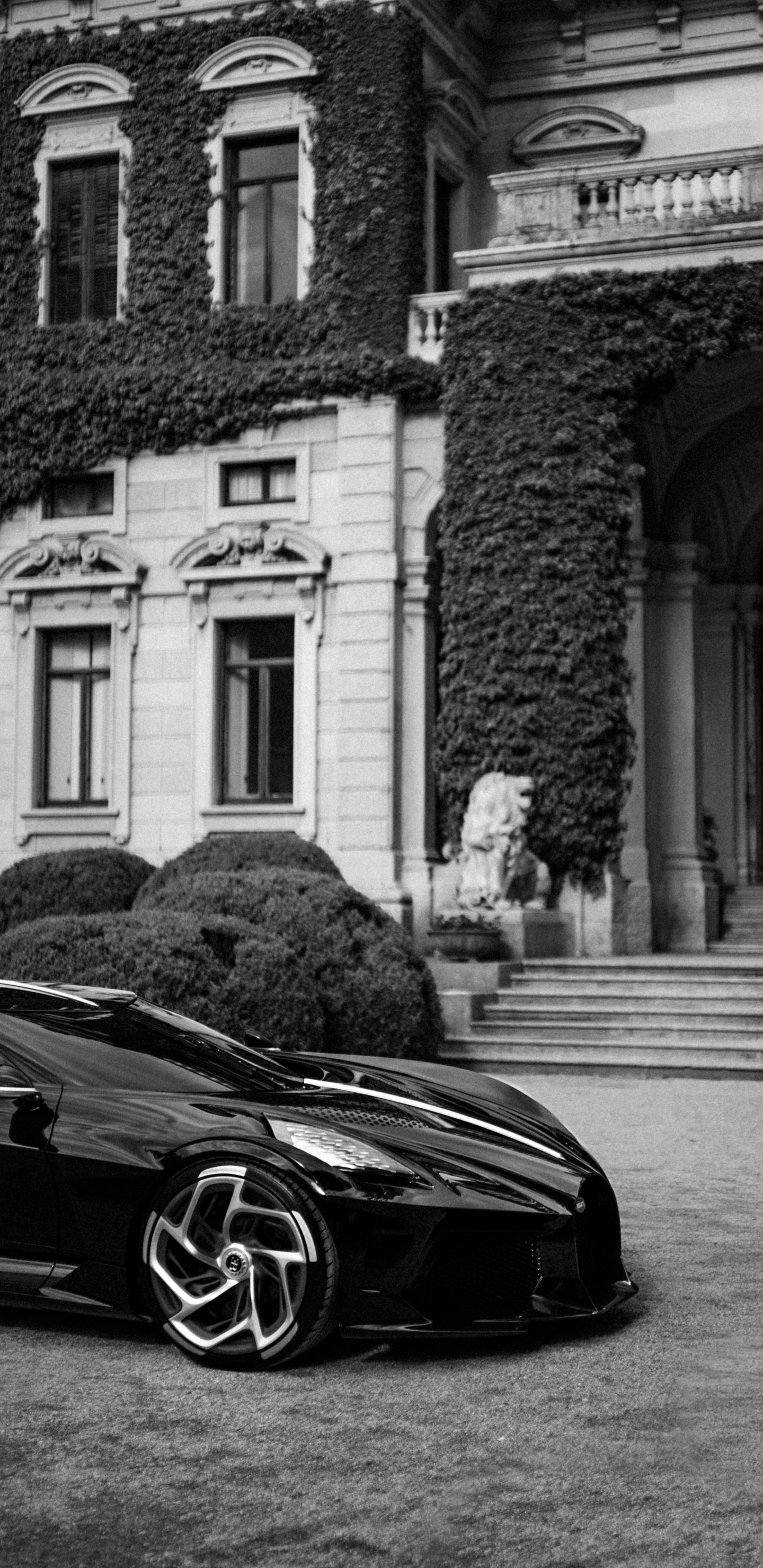 Обои спорткар, легковые автомобили, Бугатти вейрон, суперкар, колесо в разрешении 1440x2960