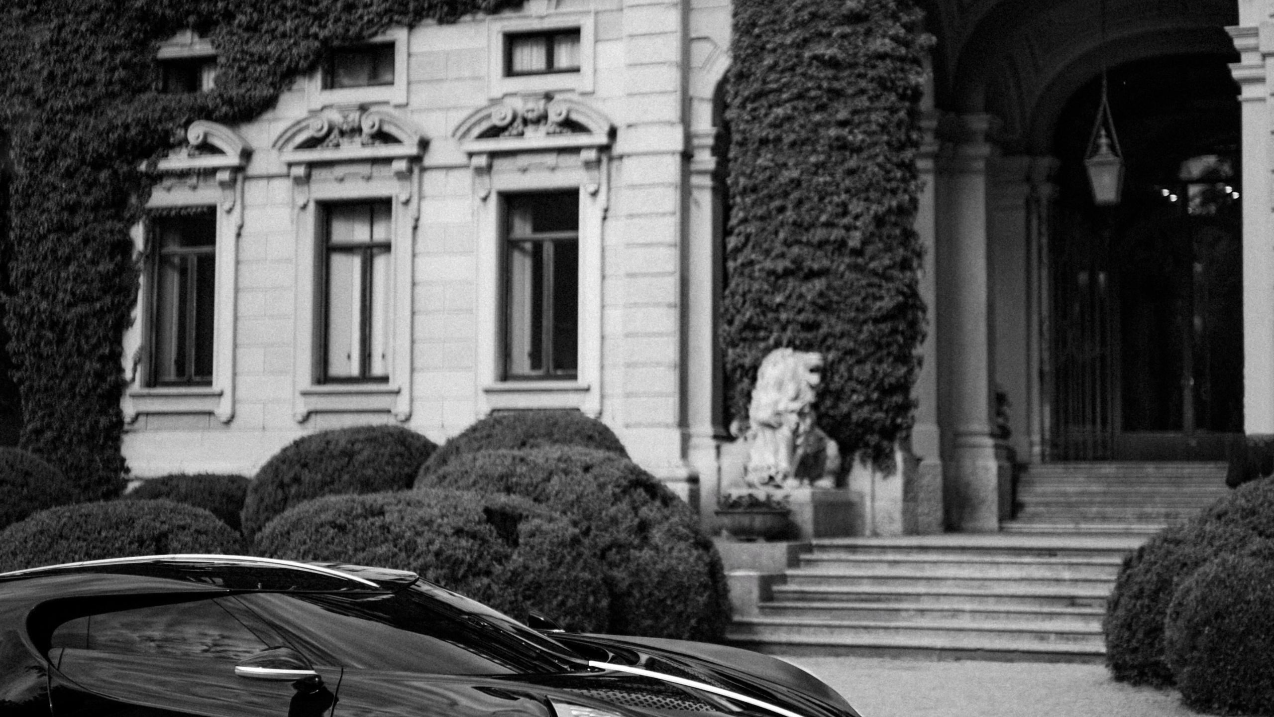 Обои спорткар, легковые автомобили, Бугатти вейрон, суперкар, колесо в разрешении 2560x1440