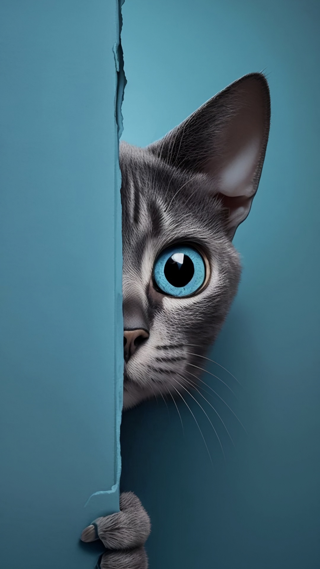 Обои Девон Рекс, европейская короткошерстная, абиссинец, Немецкий Рекс, тонкинские кошки в разрешении 1080x1920