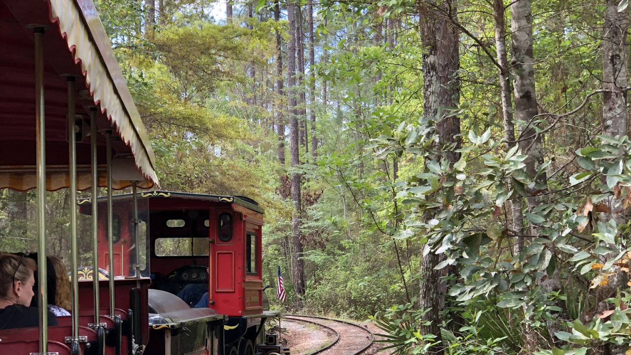 Обои железнодорожный транспорт, поезд, железнодорожный вагон, лист, трек в разрешении 1280x720