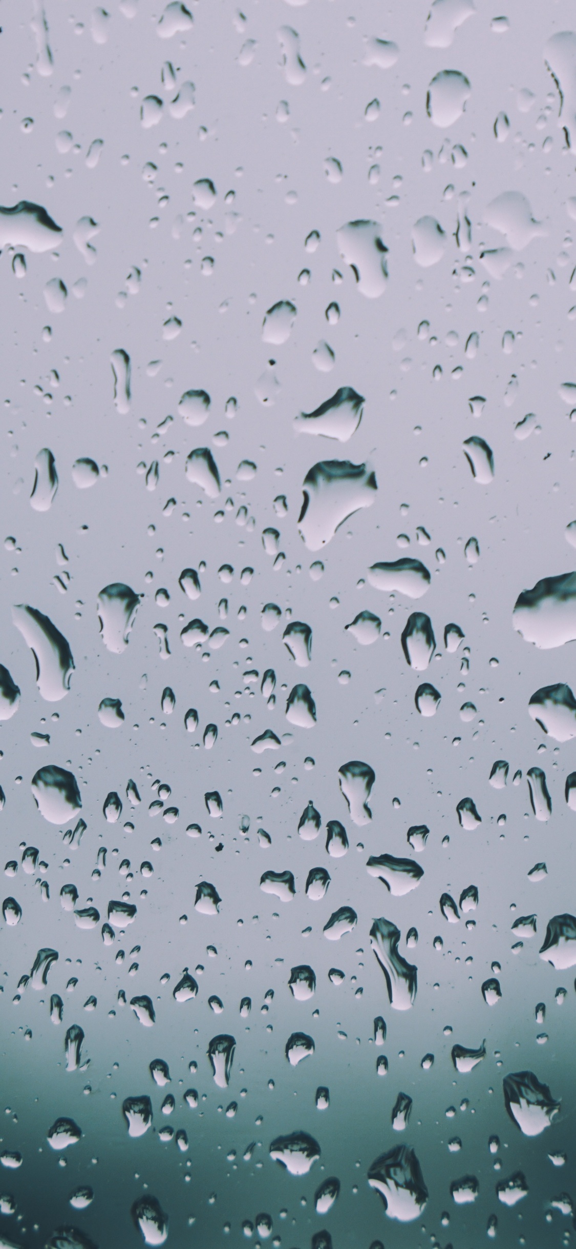 Обои дождь, падение, вода, мелкий дождь, синий в разрешении 1125x2436