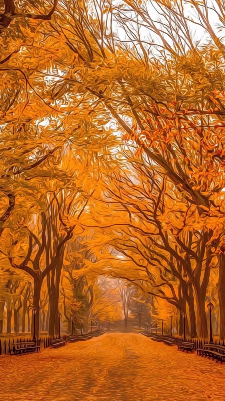 Обои Центральный парк, осень, дневное время, Янтарь, Люди в природе в разрешении 720x1280