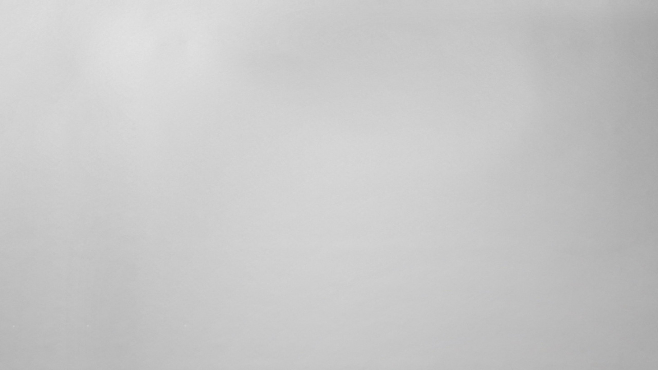 Обои портрет, кот, растение, таблица, облако в разрешении 1280x720