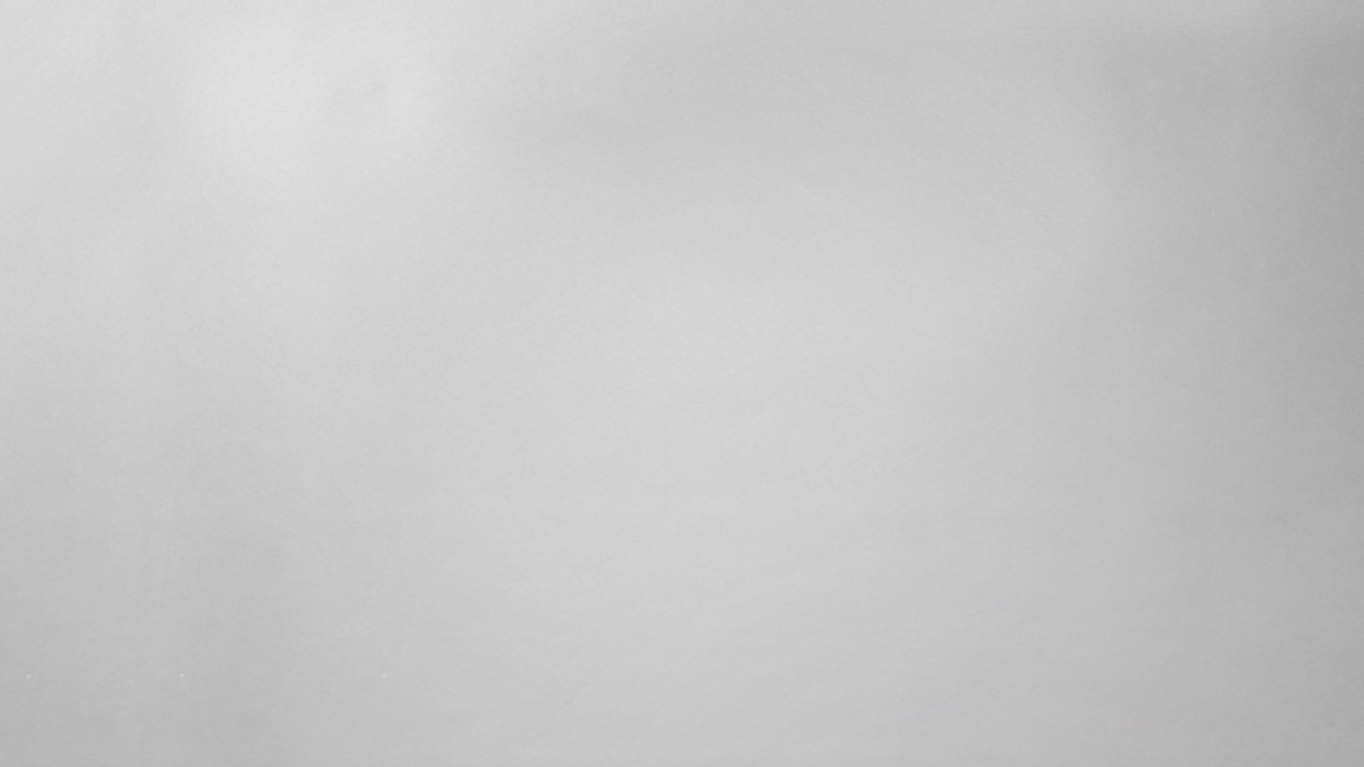 Обои портрет, кот, растение, таблица, облако в разрешении 1920x1080