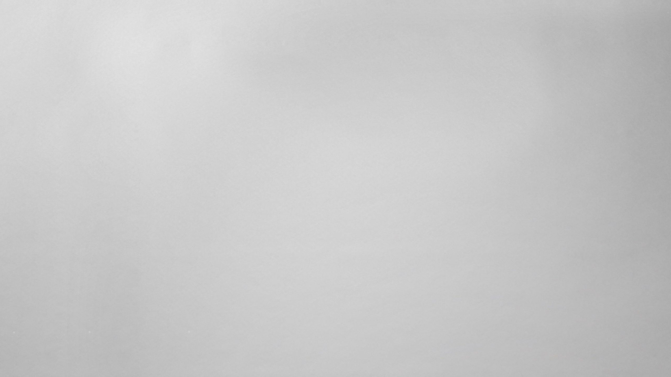 Обои портрет, кот, растение, таблица, облако в разрешении 2560x1440