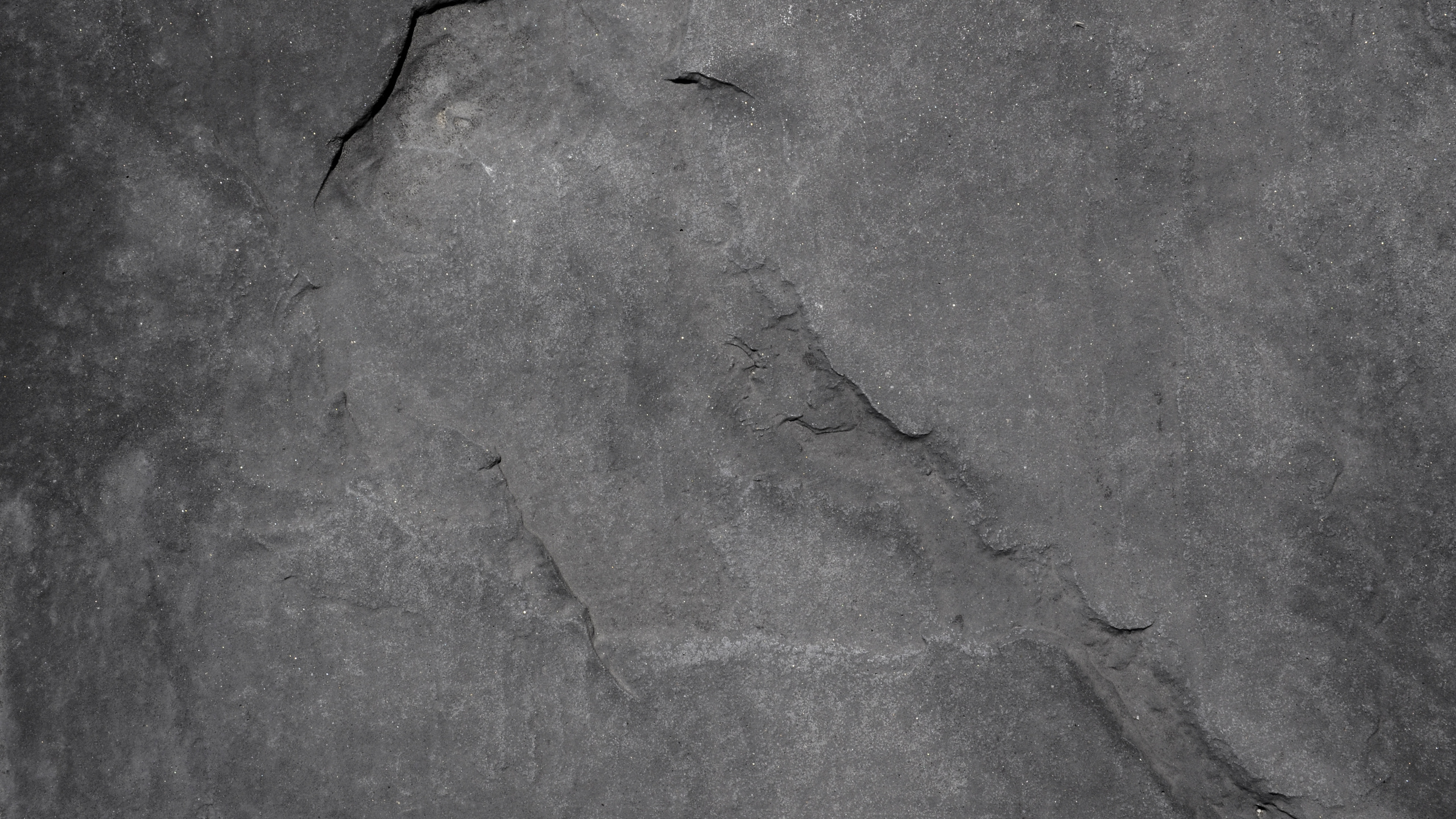 Обои серый цвет, текстура, рок, черный и белый, черный в разрешении 2560x1440