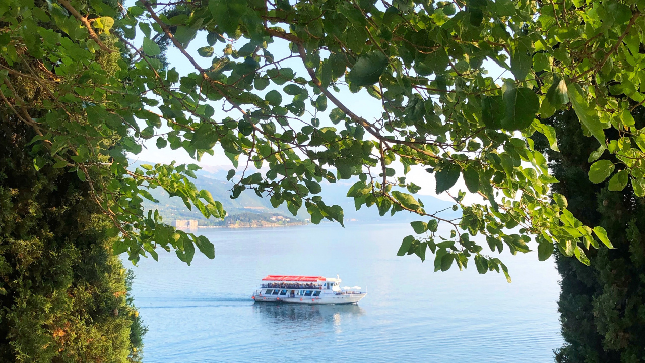 Обои природа, лист, биология, наука, рассада в разрешении 1280x720