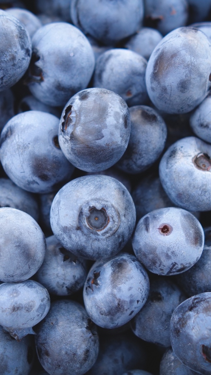 Обои Черника, Ферма, фрукты, ягоды, суперфуд в разрешении 720x1280