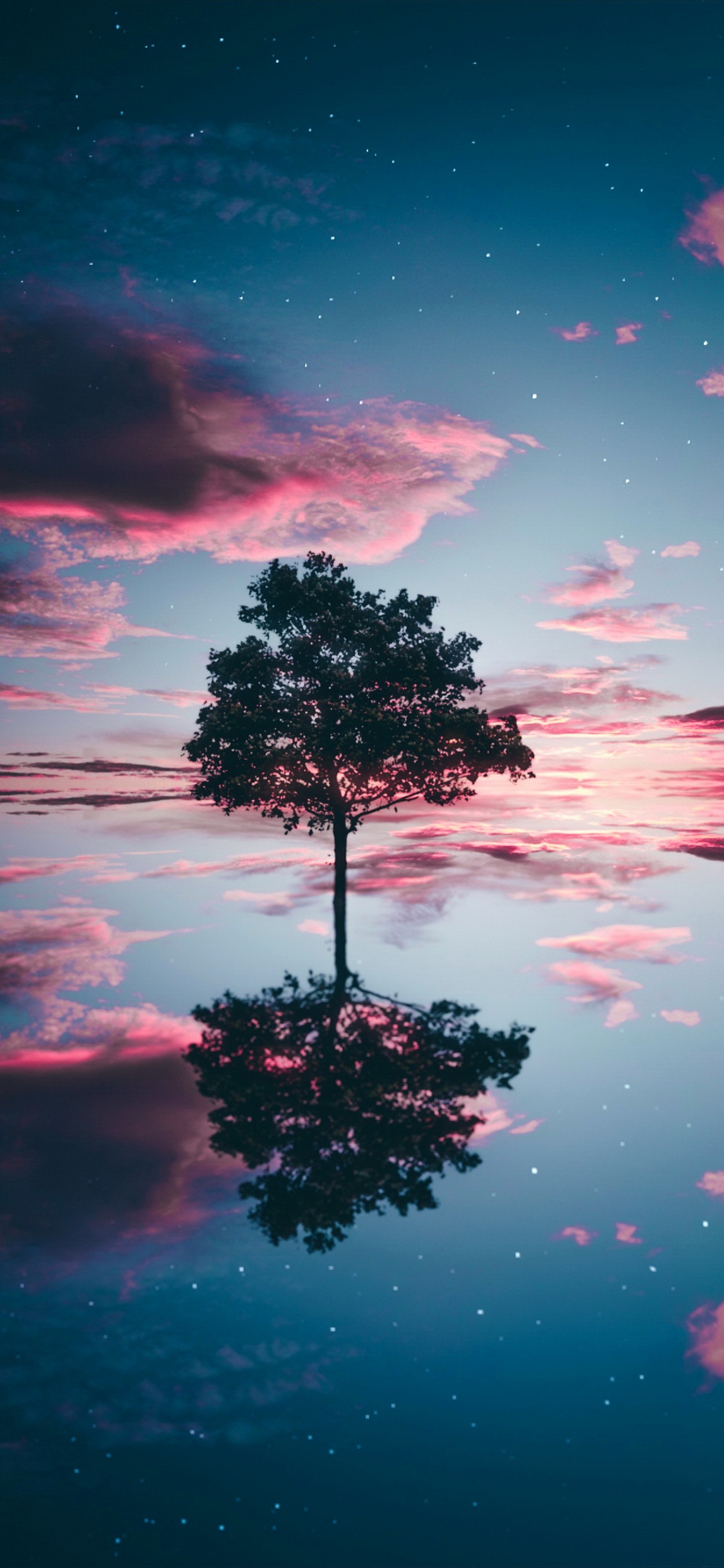 Обои облако, вода, атмосфера, растение, природа в разрешении 1125x2436