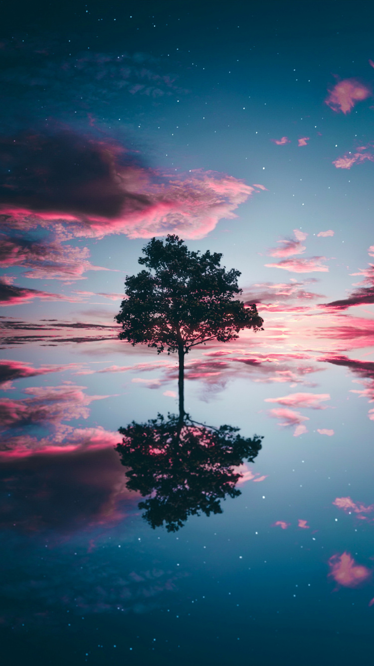 Обои облако, вода, атмосфера, растение, природа в разрешении 750x1334