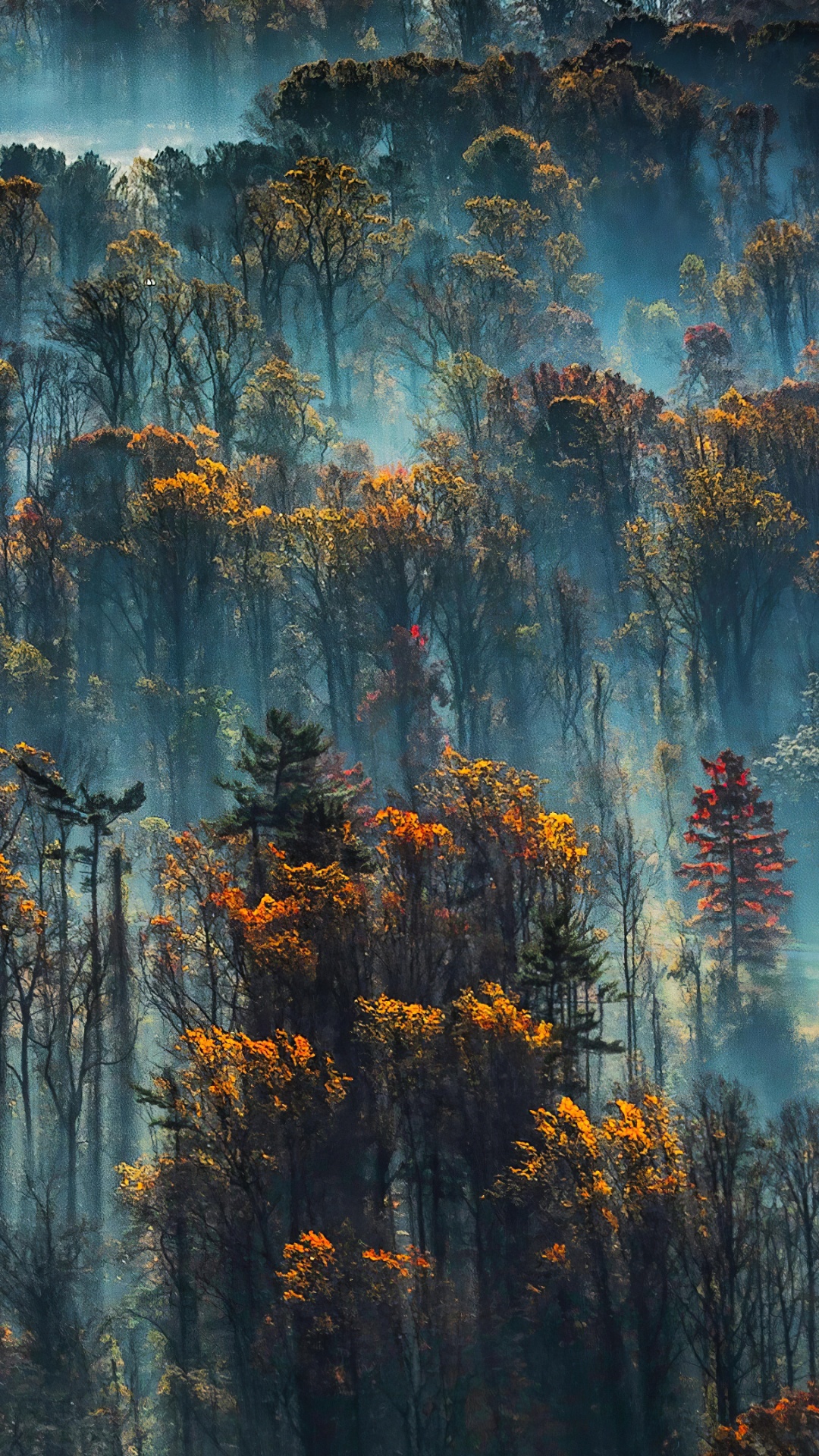 Обои синий, вода, дерево, атмосфера, солнечный свет в разрешении 1080x1920