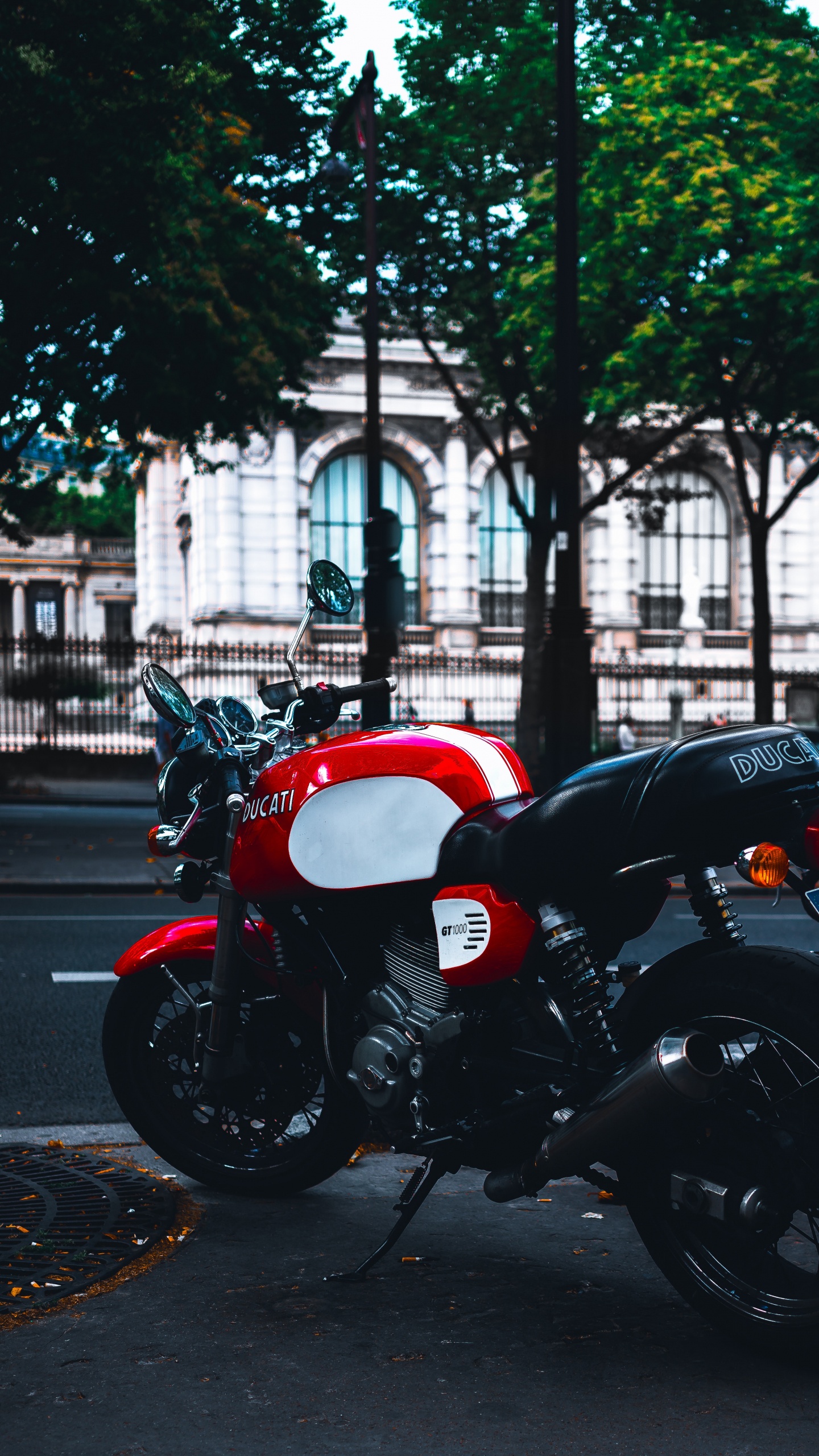 Обои мотоцикл, ducati, авто, дерево, шлем в разрешении 1440x2560