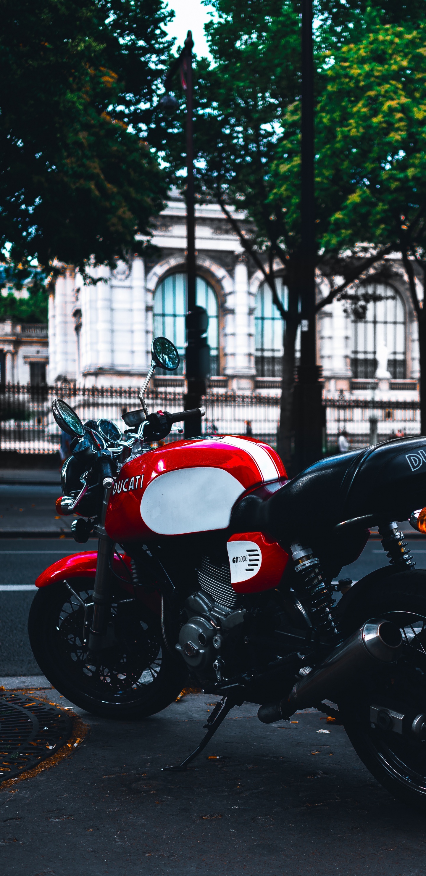 Обои мотоцикл, ducati, авто, дерево, шлем в разрешении 1440x2960