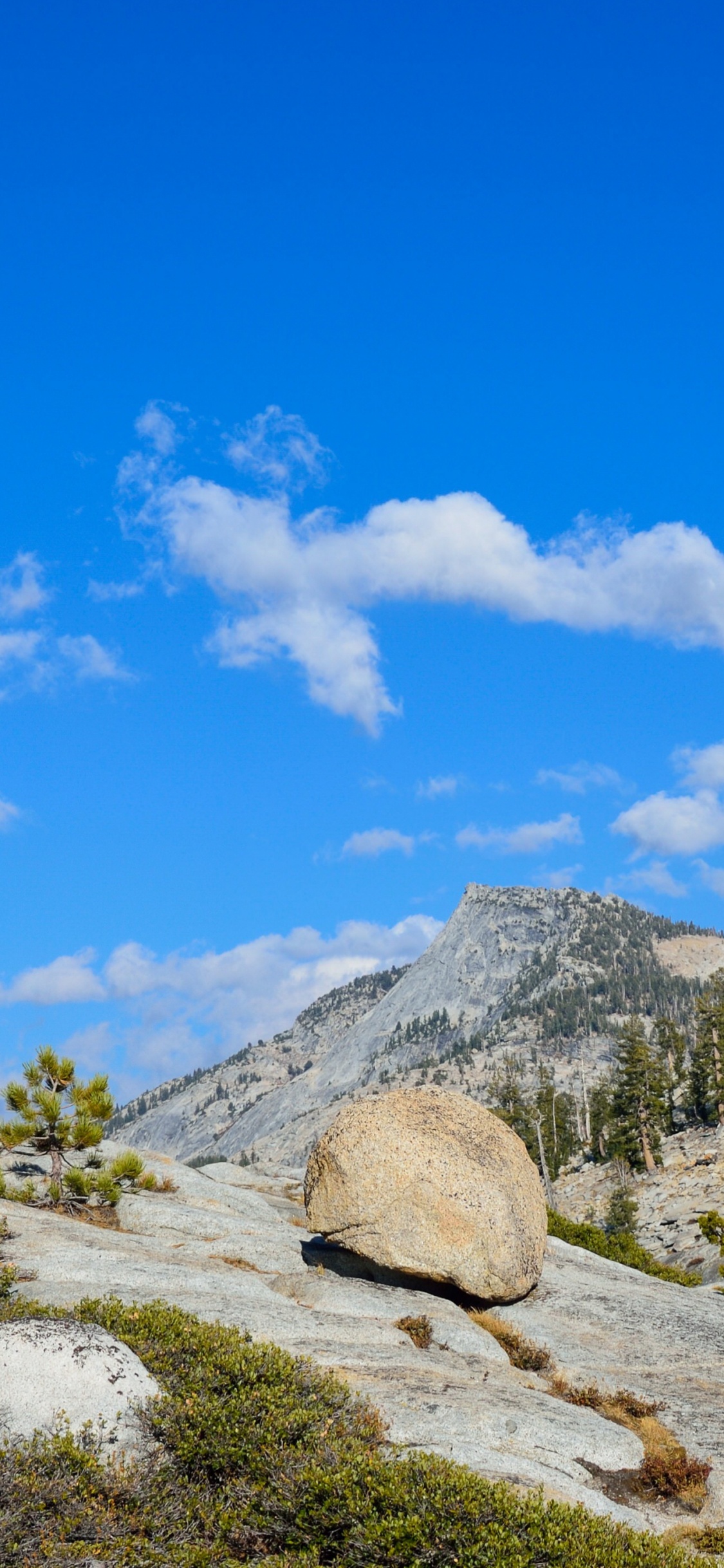 Обои йосемитский национальный парк, йосемити, парк, гора, природа в разрешении 1125x2436