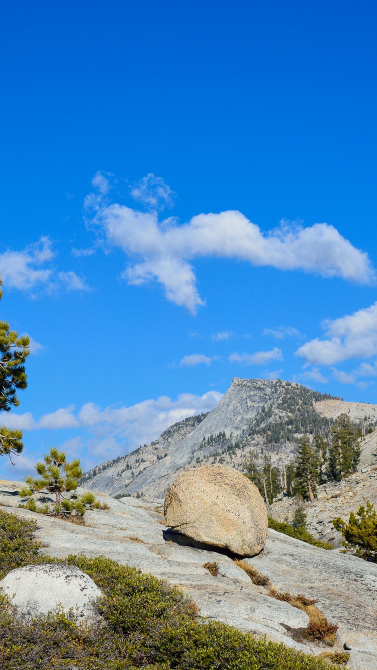 Обои йосемитский национальный парк, йосемити, парк, гора, природа в разрешении 750x1334