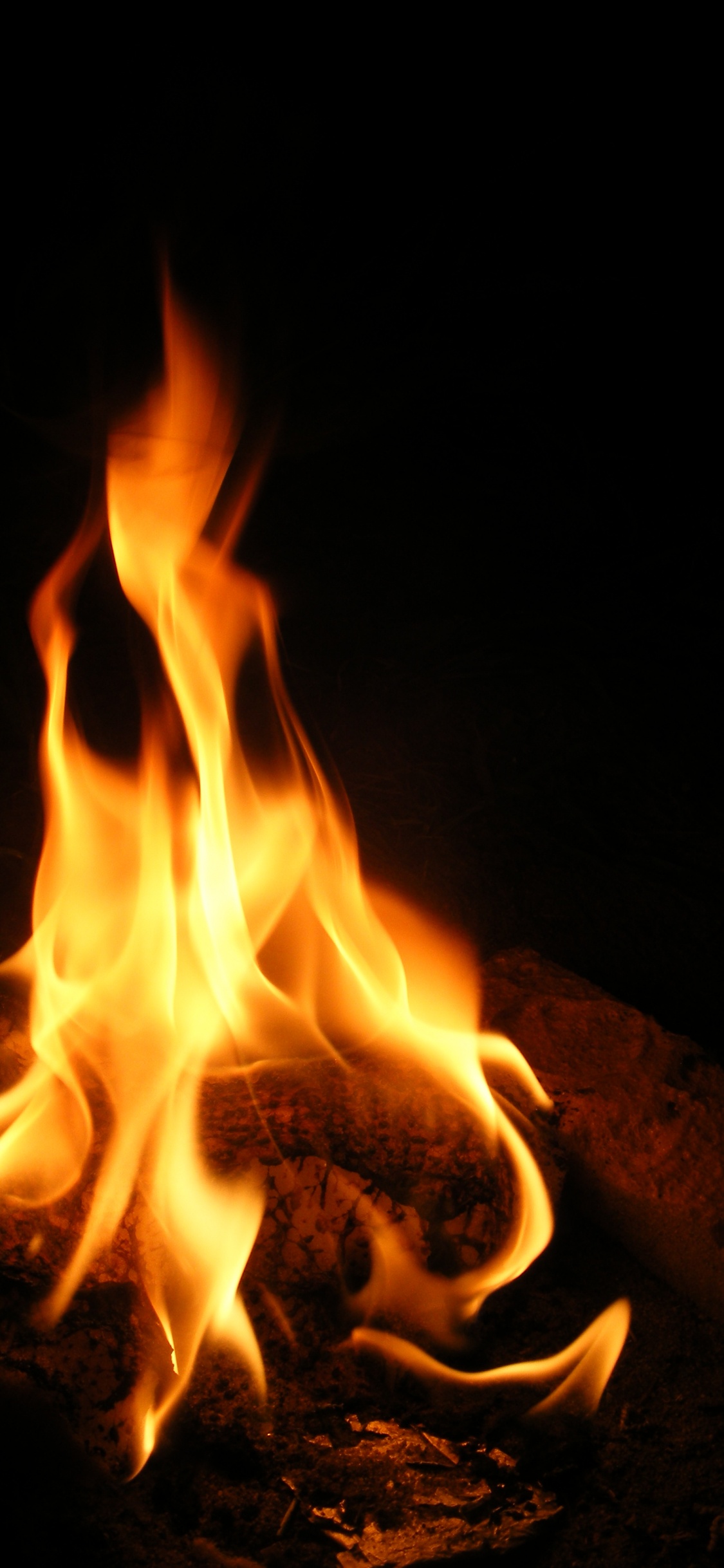 Обои огонь, пламя, тепло, костер, не мое слово как огонь в разрешении 1125x2436